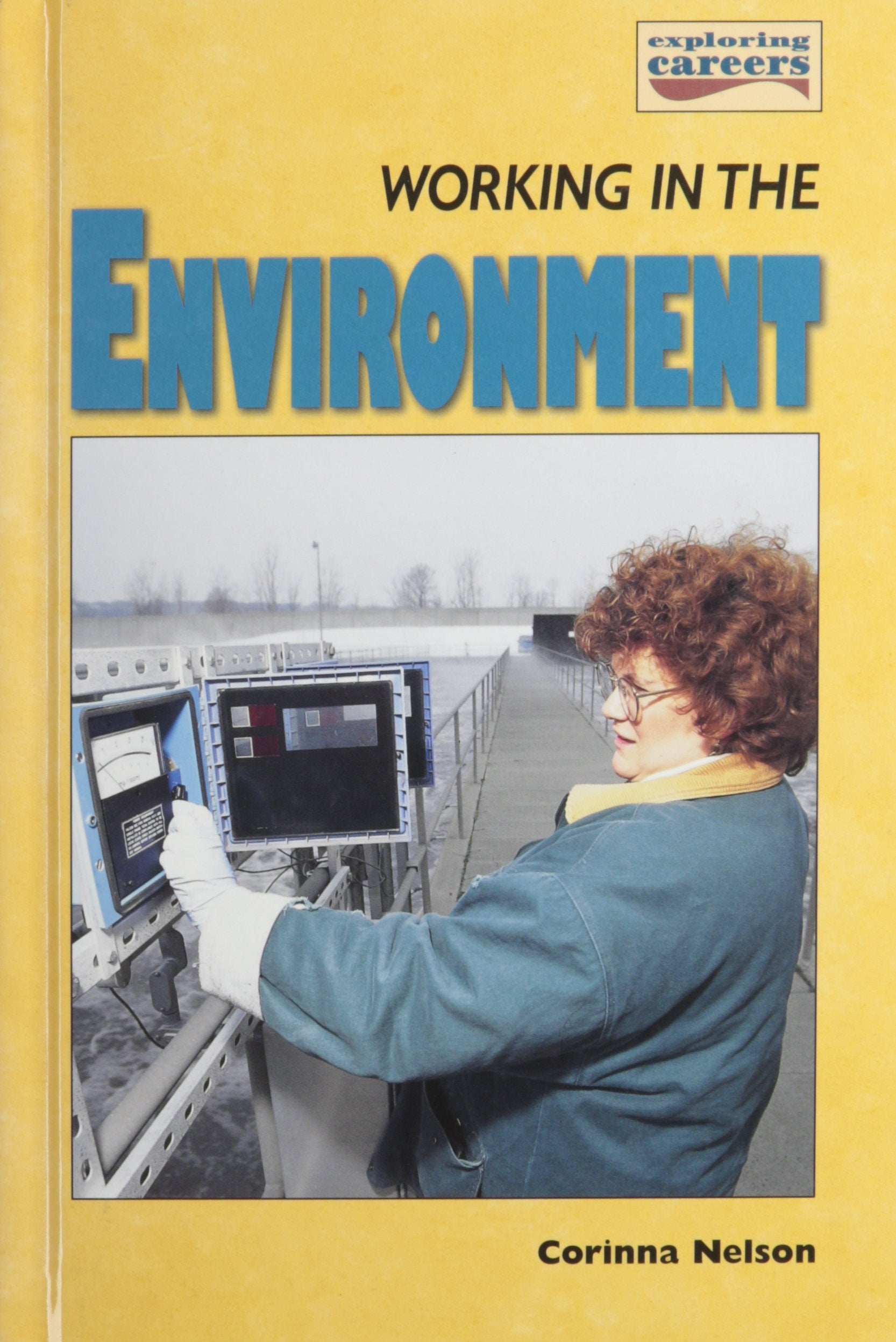 Working In The Environment (Exploring Careers),Used
