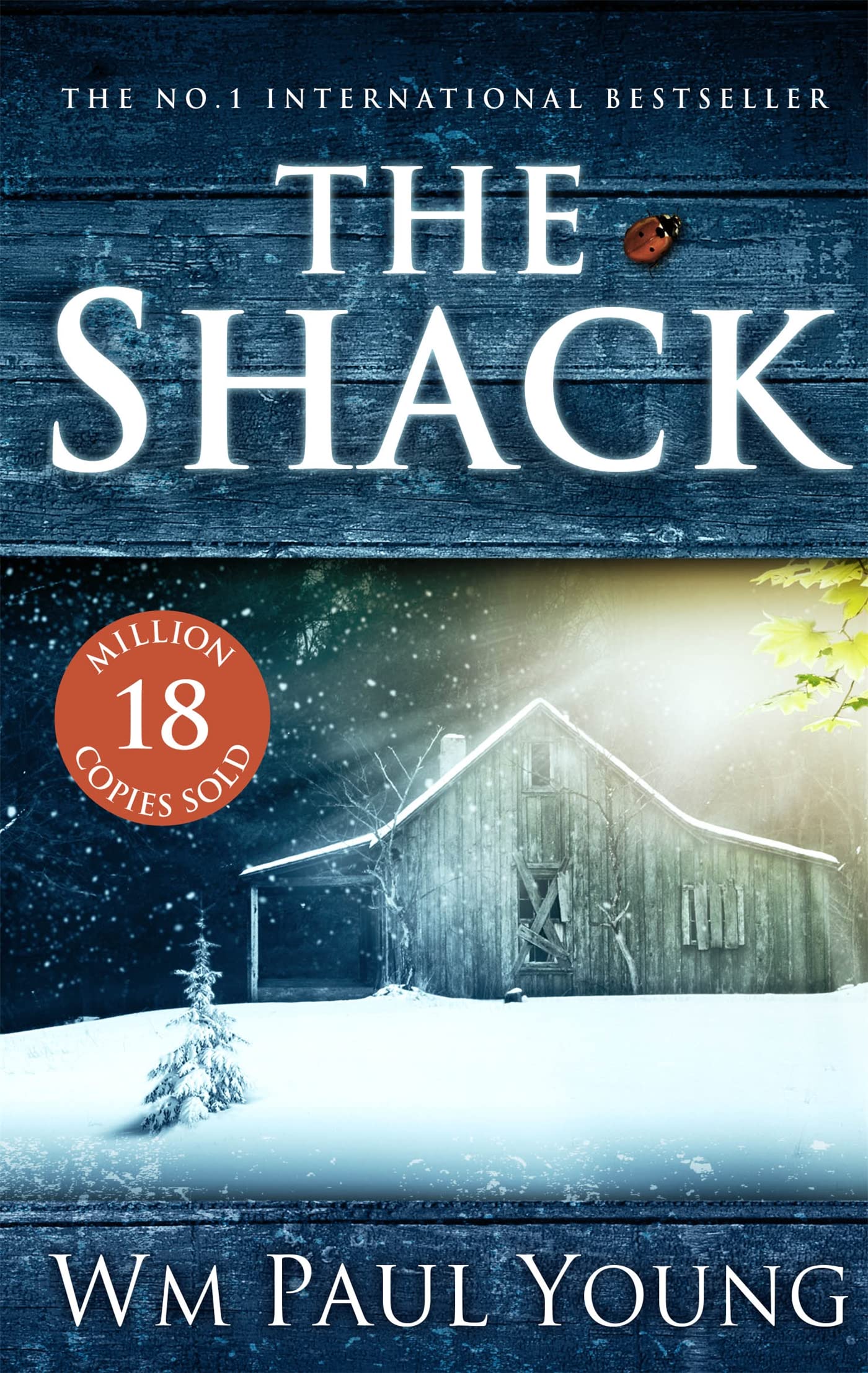 The Shack: THE INTERNATIONAL BESTSELLER,Used