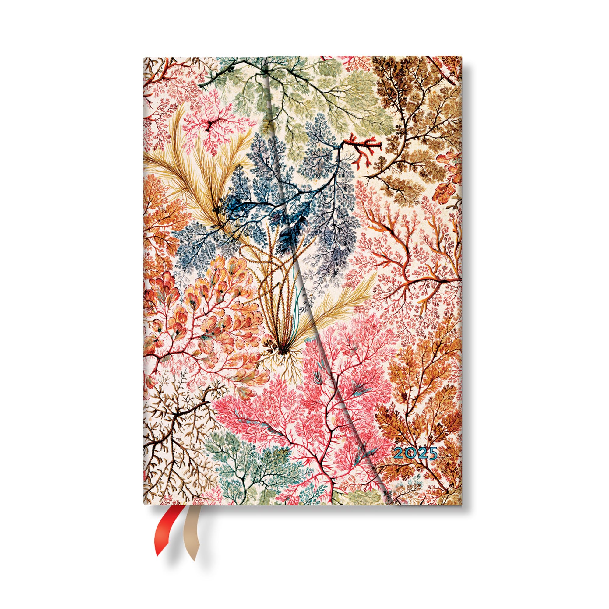 2025 Anemone Midi Horizontal Hardcover 12Month, 160Pg, 100Gsm, 2025 Planners By Paperblanks (William Kilburn)