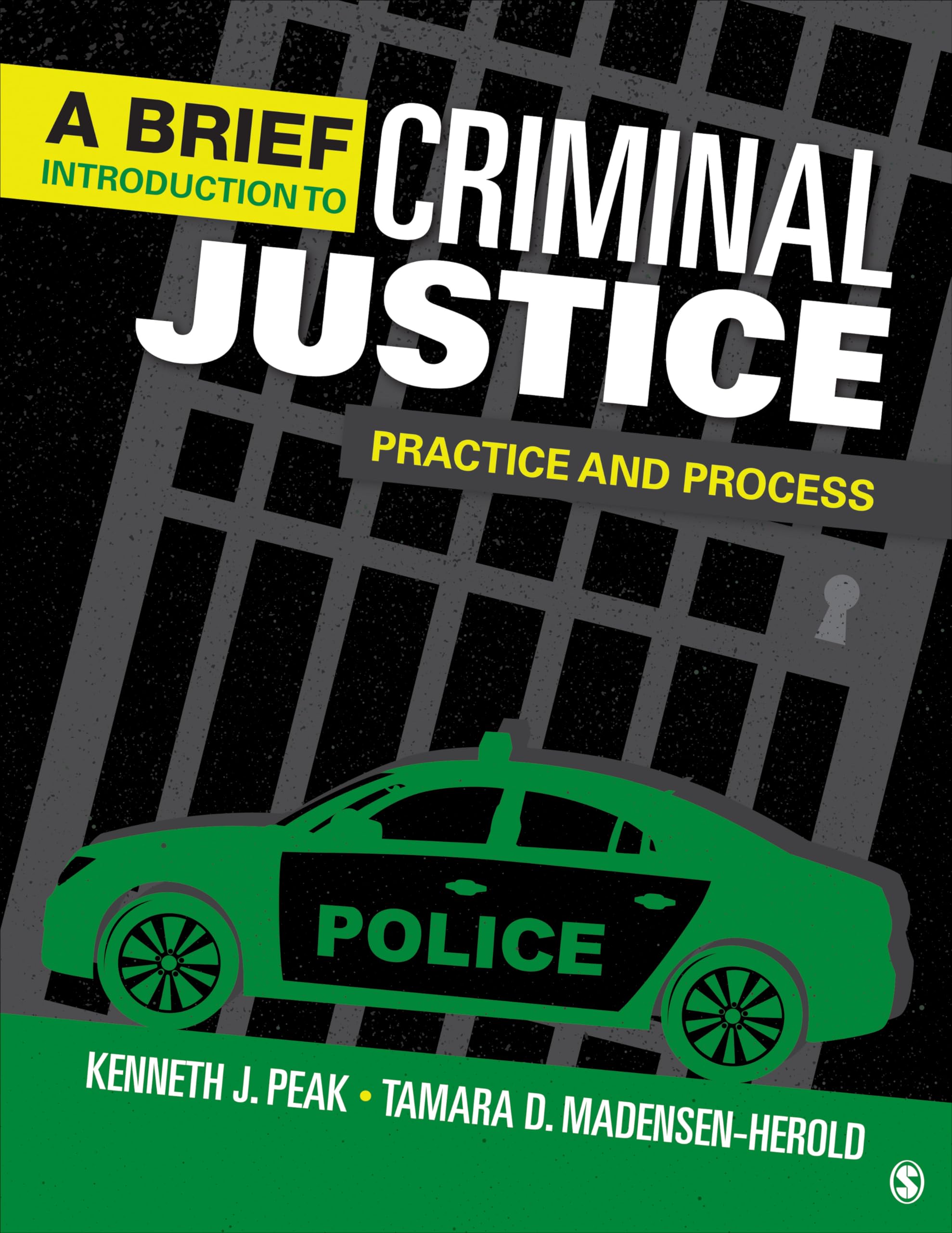 A Brief Introduction to Criminal Justice: Practice and Process,Used