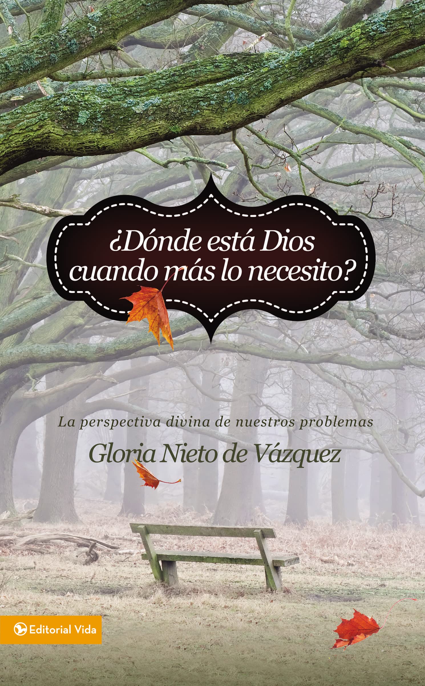 Dnde Est Dios Cuando Ms Lo Necesito?: La Perspectiva Divina De Nuestros Problemas (Spanish Edition),New