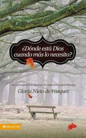 Dnde Est Dios Cuando Ms Lo Necesito?: La Perspectiva Divina De Nuestros Problemas (Spanish Edition),New