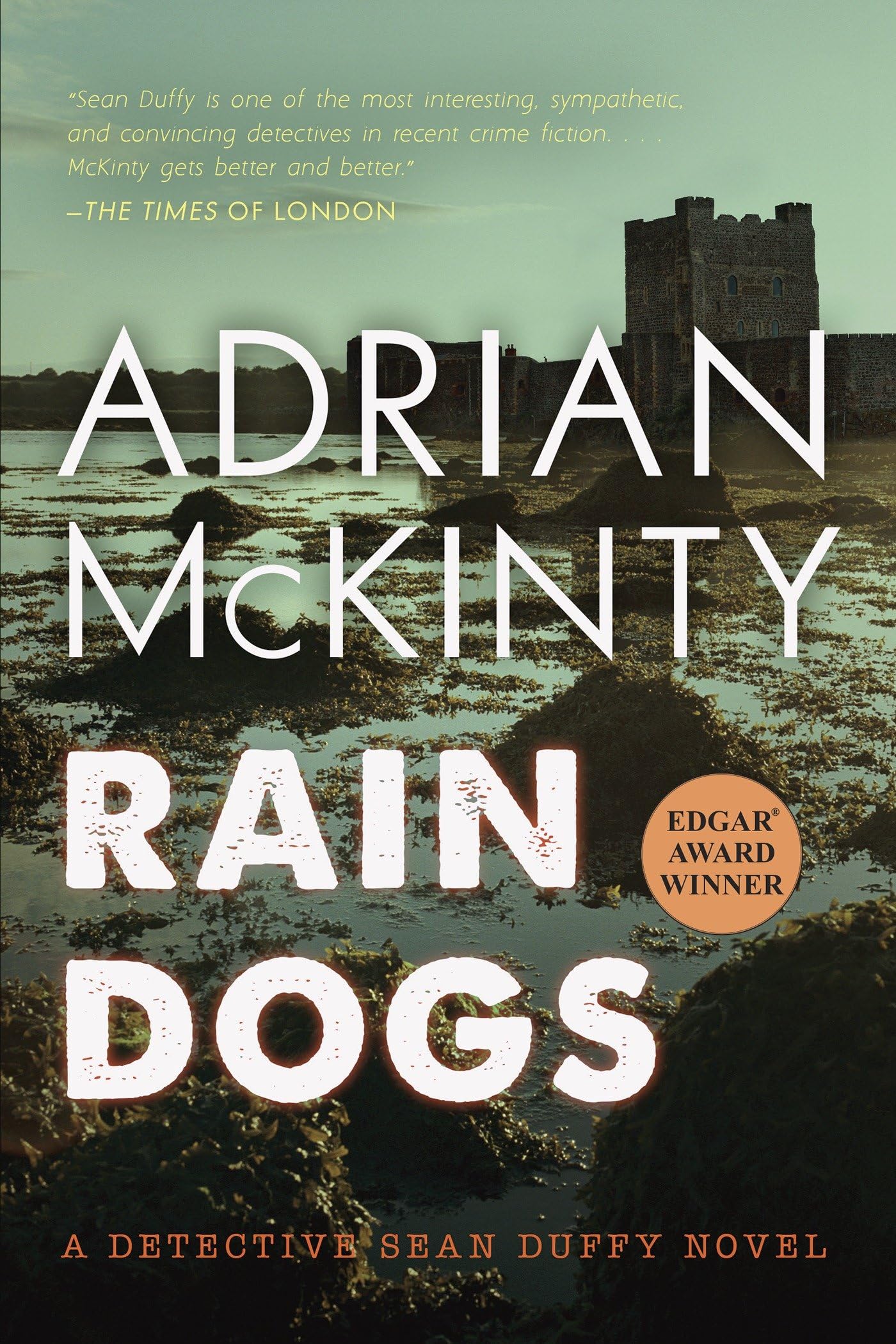 Rain Dogs: A Detective Sean Duffy Novel,Used