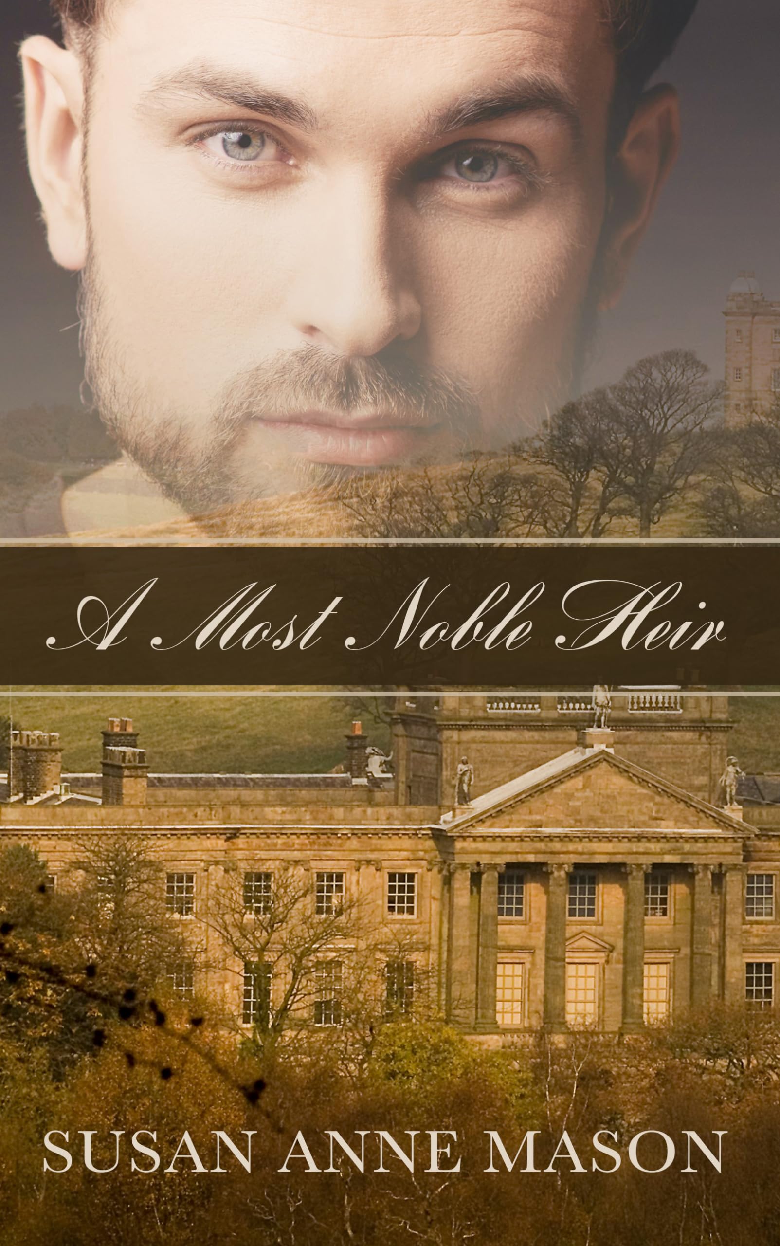 A Most Noble Heir (Thorndike Press Large Print Christian Historical Fiction),Used