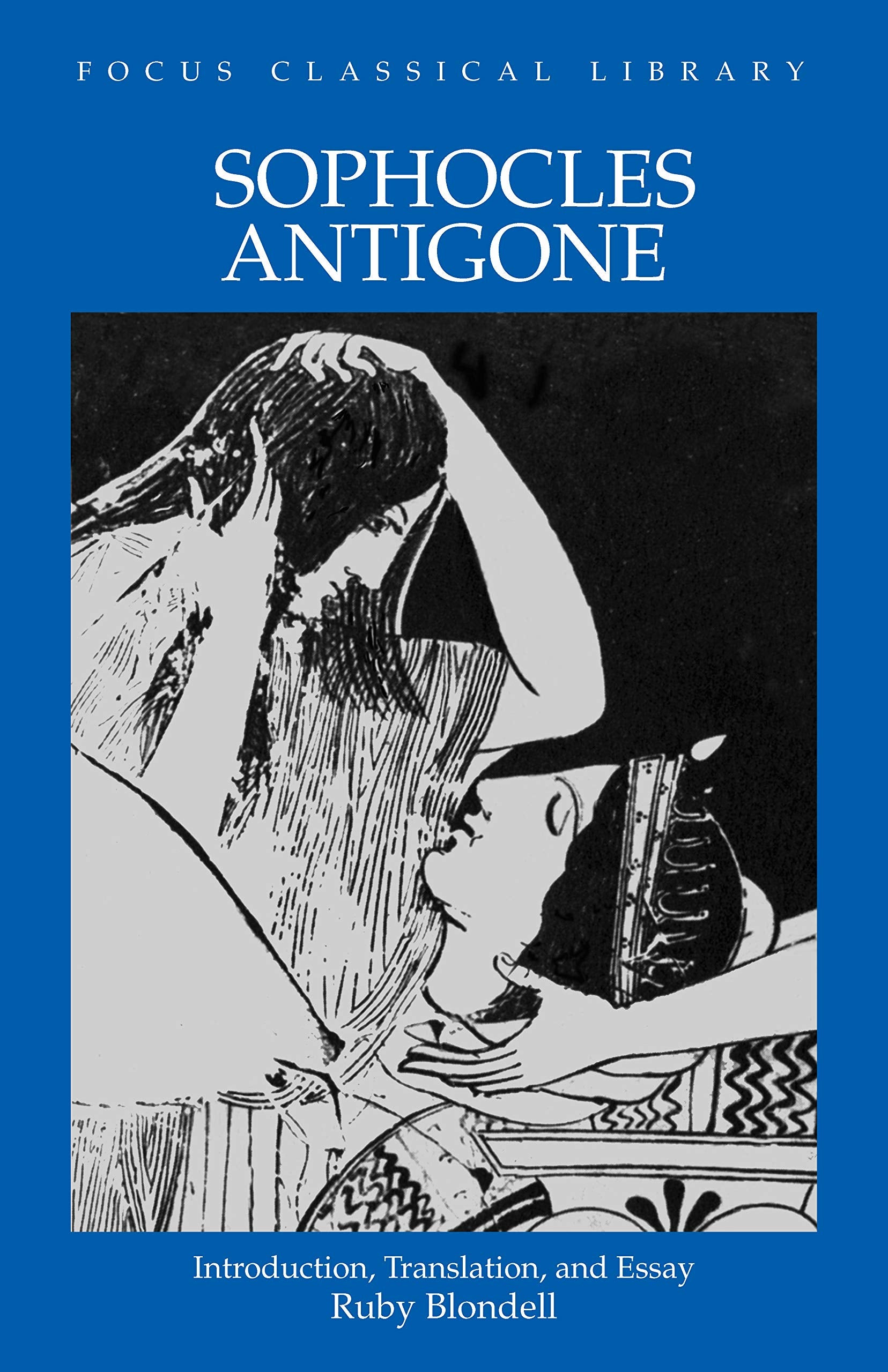 Sophocles : Antigone (Focus Classical Library),Used