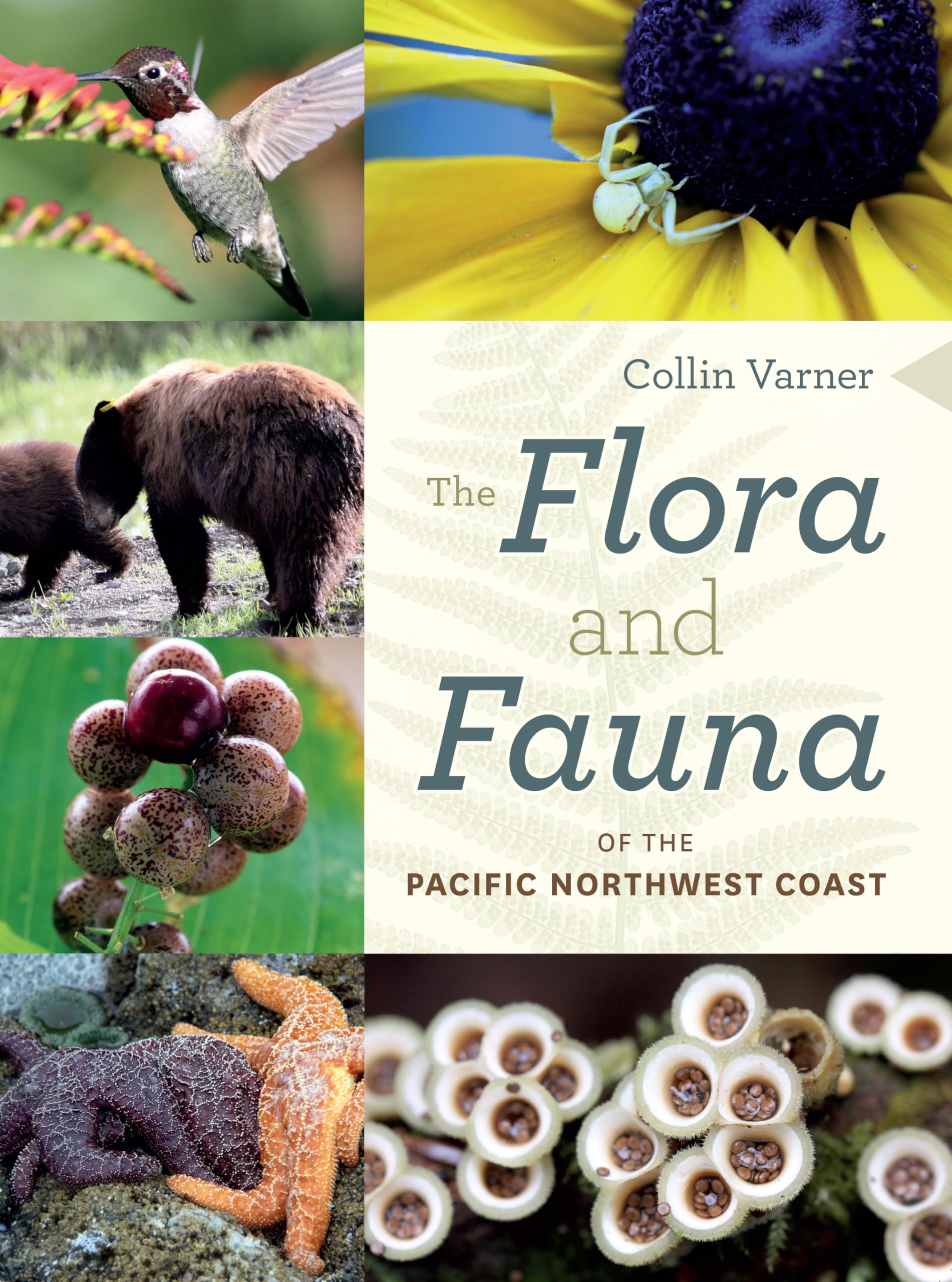 The Flora and Fauna of the Pacific Northwest Coast,Used