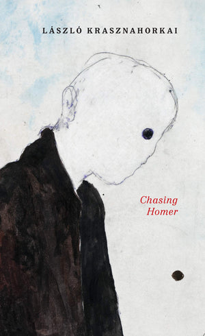 Chasing Homer-new