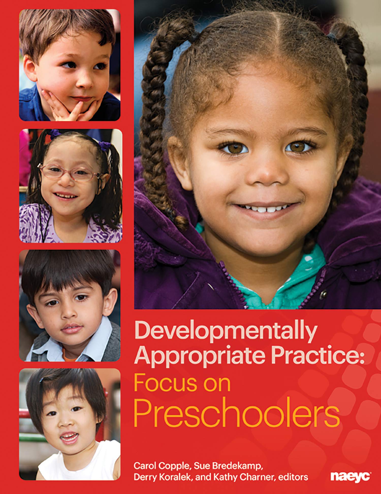 Developmentally Appropriate Practice: Focus on Preschoolers (DAP Focus Series),Used