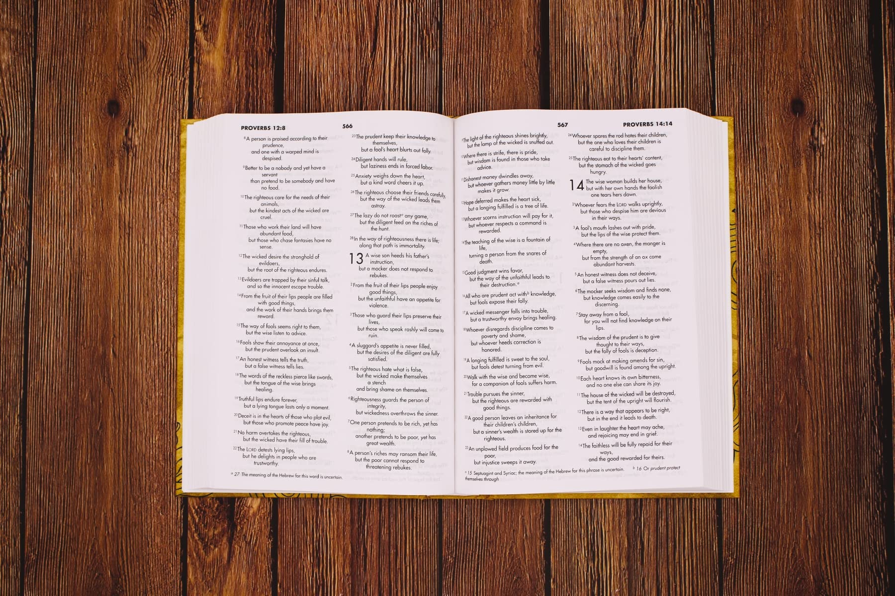 NIV, Textbook Bible for Students, Hardcover,Used