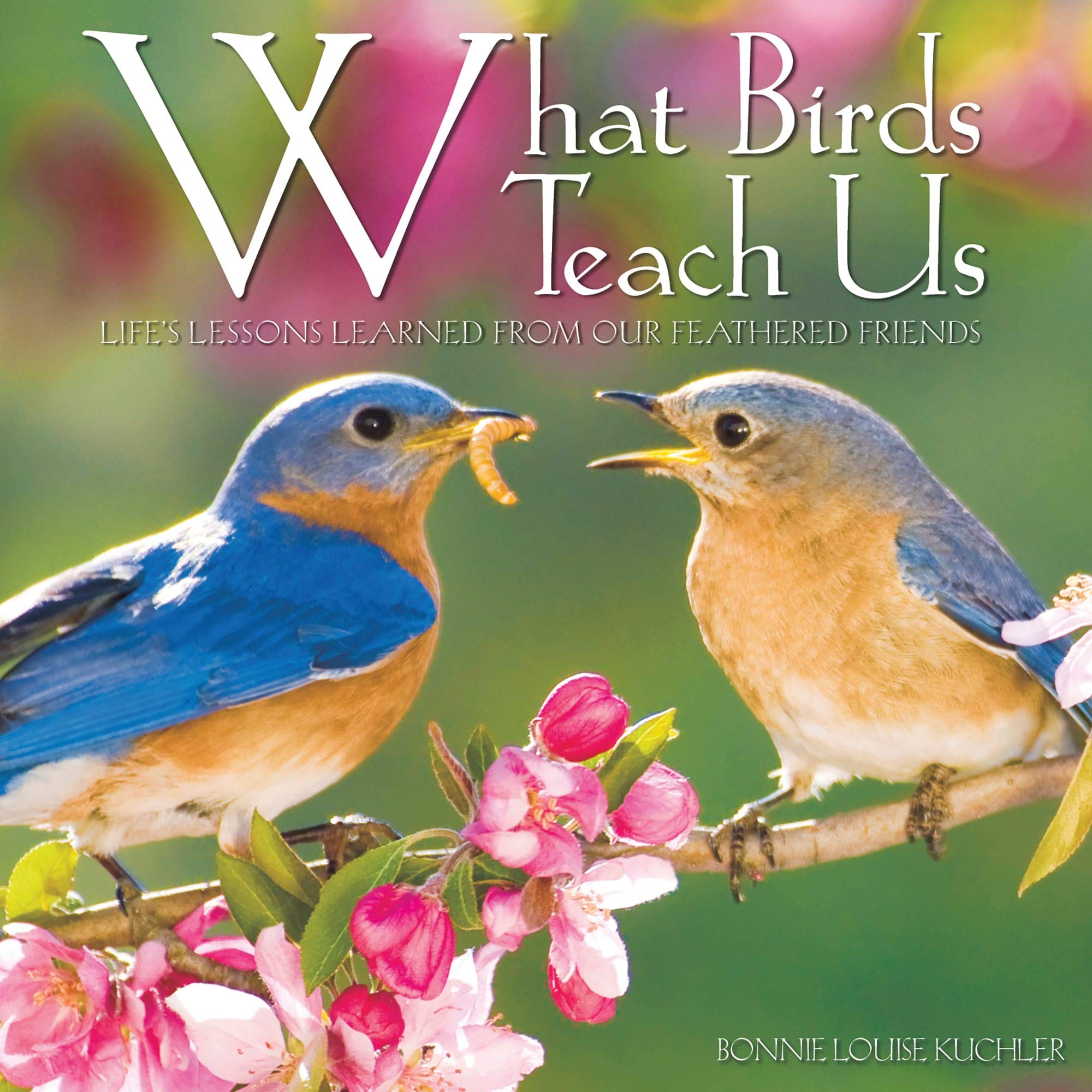 What Birds Teach Us,Used