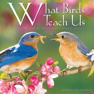 What Birds Teach Us,Used