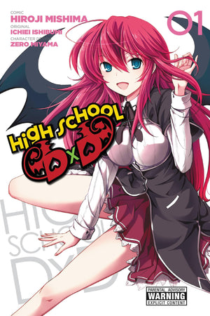 High School Dxd, Vol. 1  Manga (High School Dxd (Manga), 1)-used