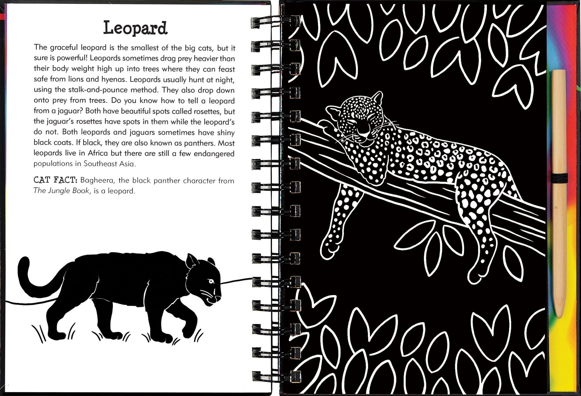 Scratch & Sketch Wild Cats (Trace Along),Used