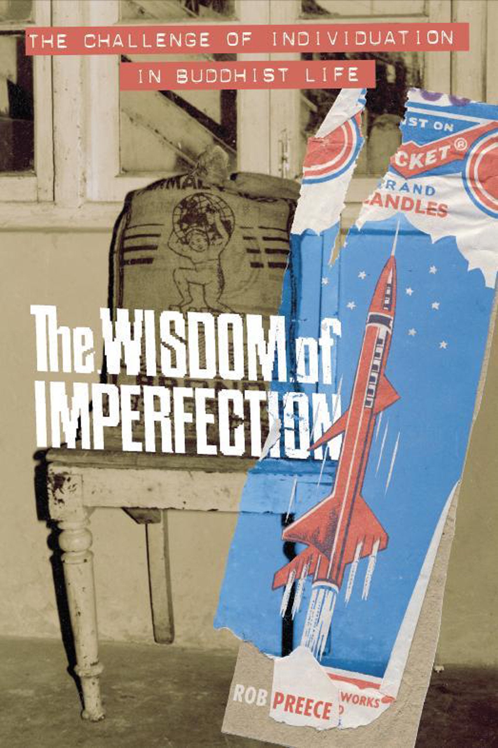 The Wisdom of Imperfection: The Challenge of Individuation in Buddhist Life,Used