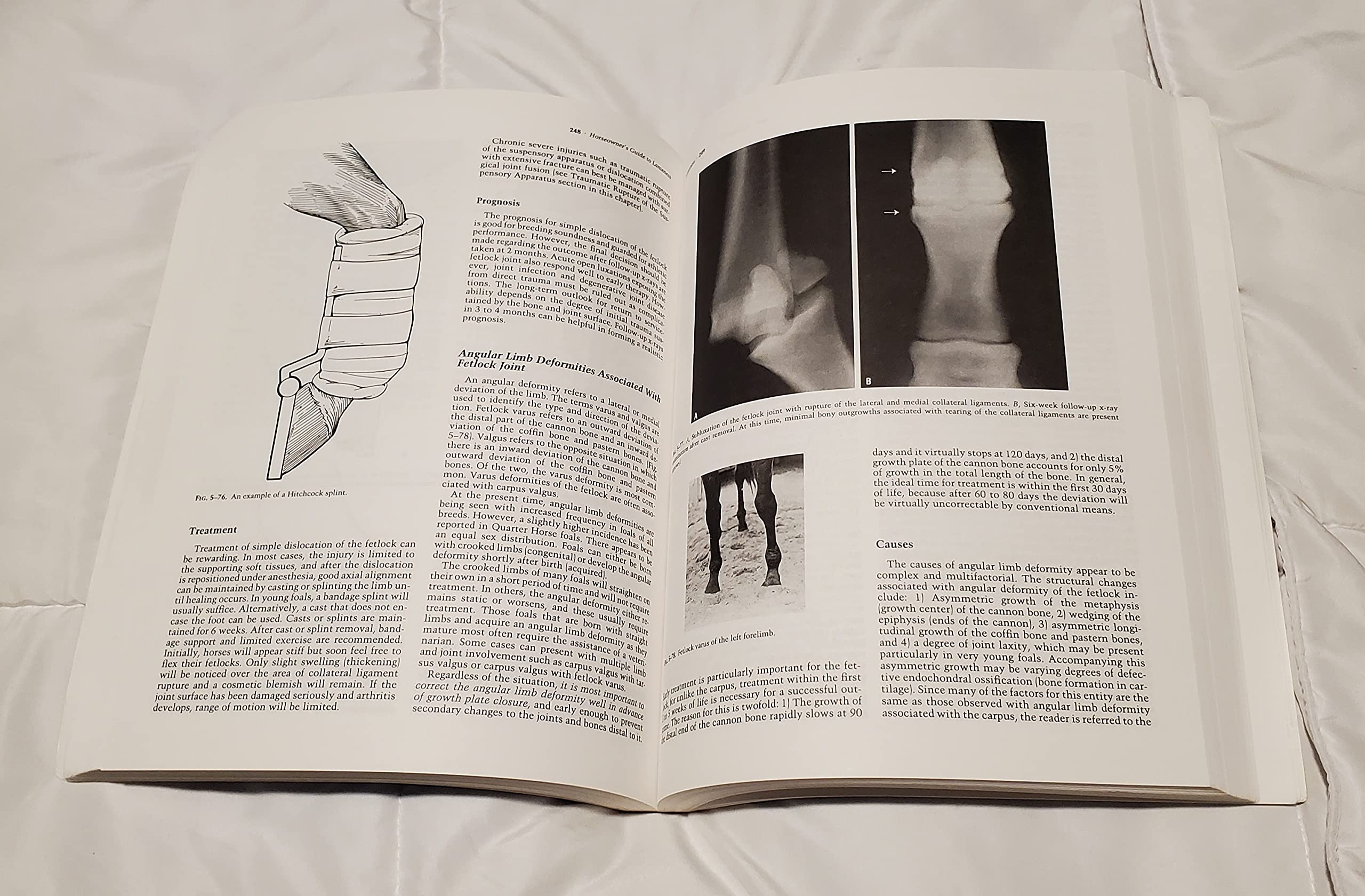 Practical Guide To Lameness In Horses,New