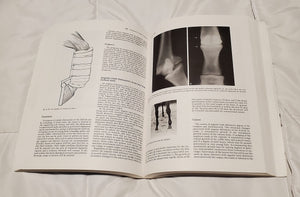 Practical Guide To Lameness In Horses,New