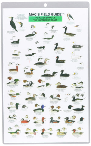 Mac's Field Guides: Northeast Coastal Water Birds (Mac's Guides (Paperback)),Used