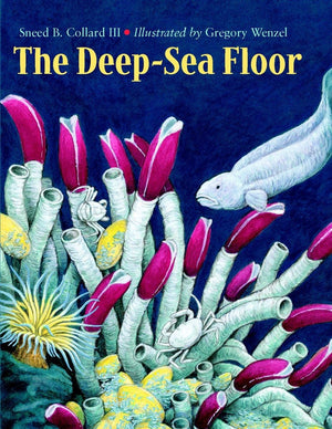 The DeepSea Floor,Used