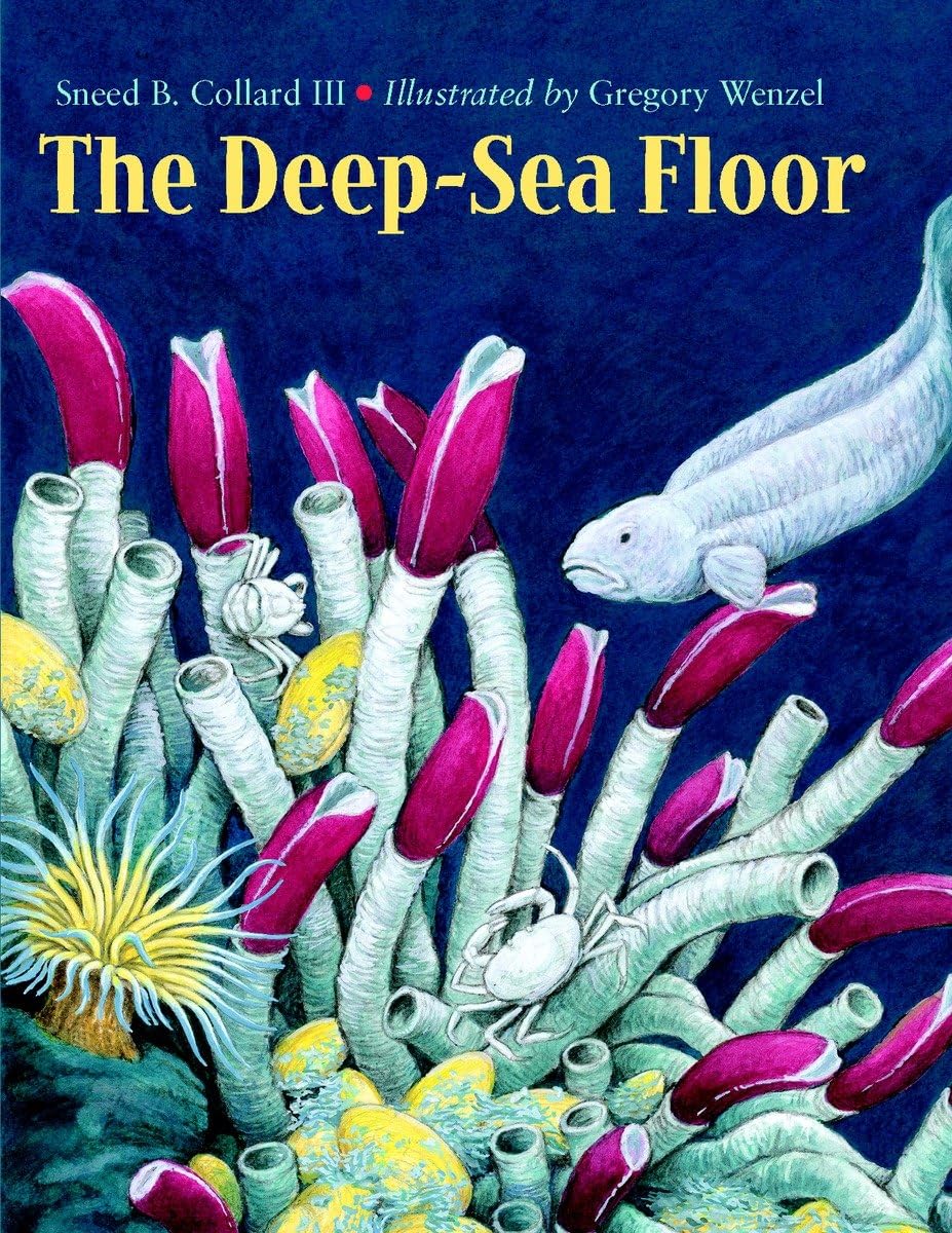 The DeepSea Floor,Used