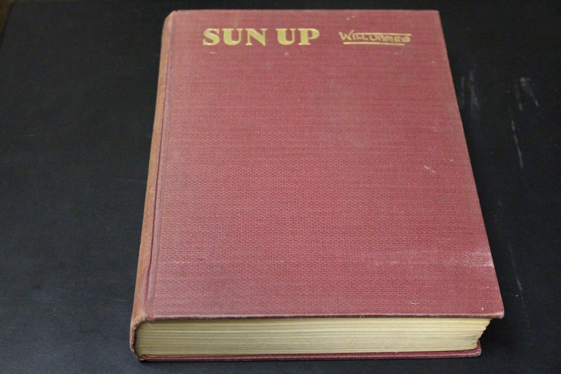 Sun Up: Tales of the Cow Camps (Tumbleweed)