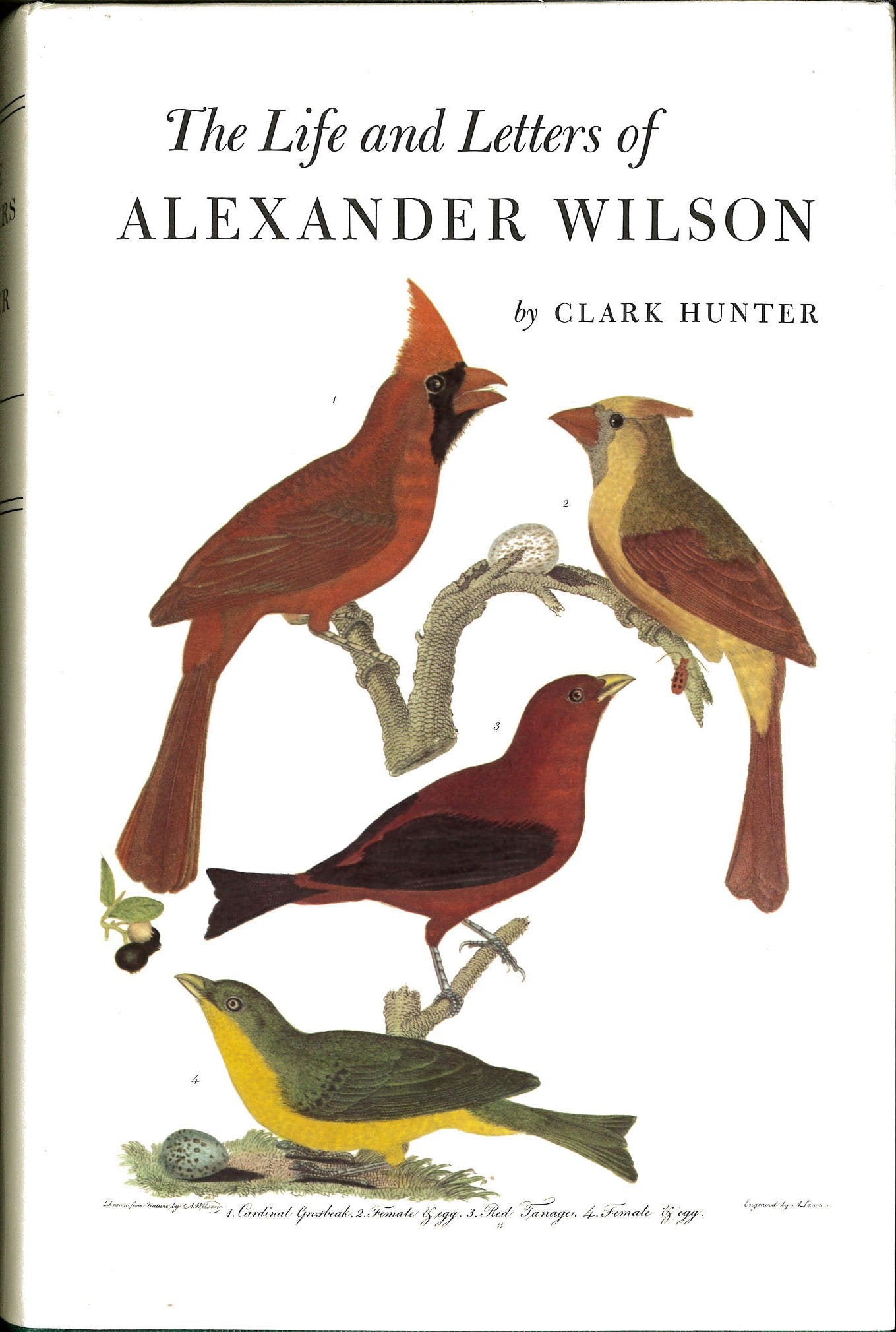 Life and Letters of Alexander Wilson (Memoirs of the American Philosophical Society),Used