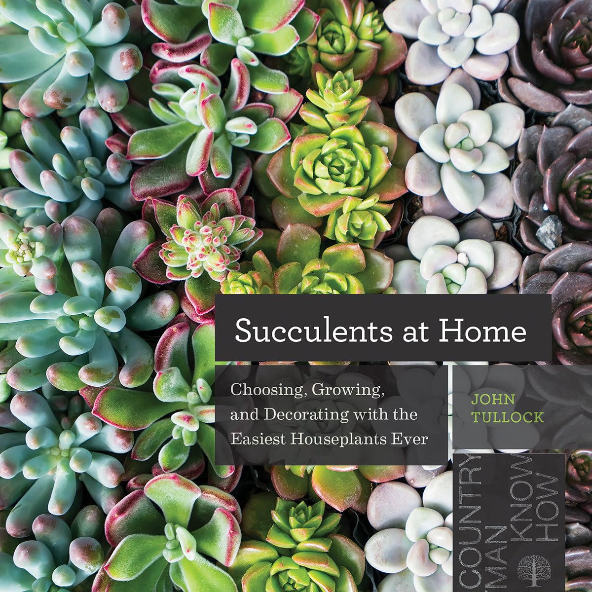 Succulents at Home: Choosing, Growing, and Decorating with the Easiest Houseplants Ever,Used