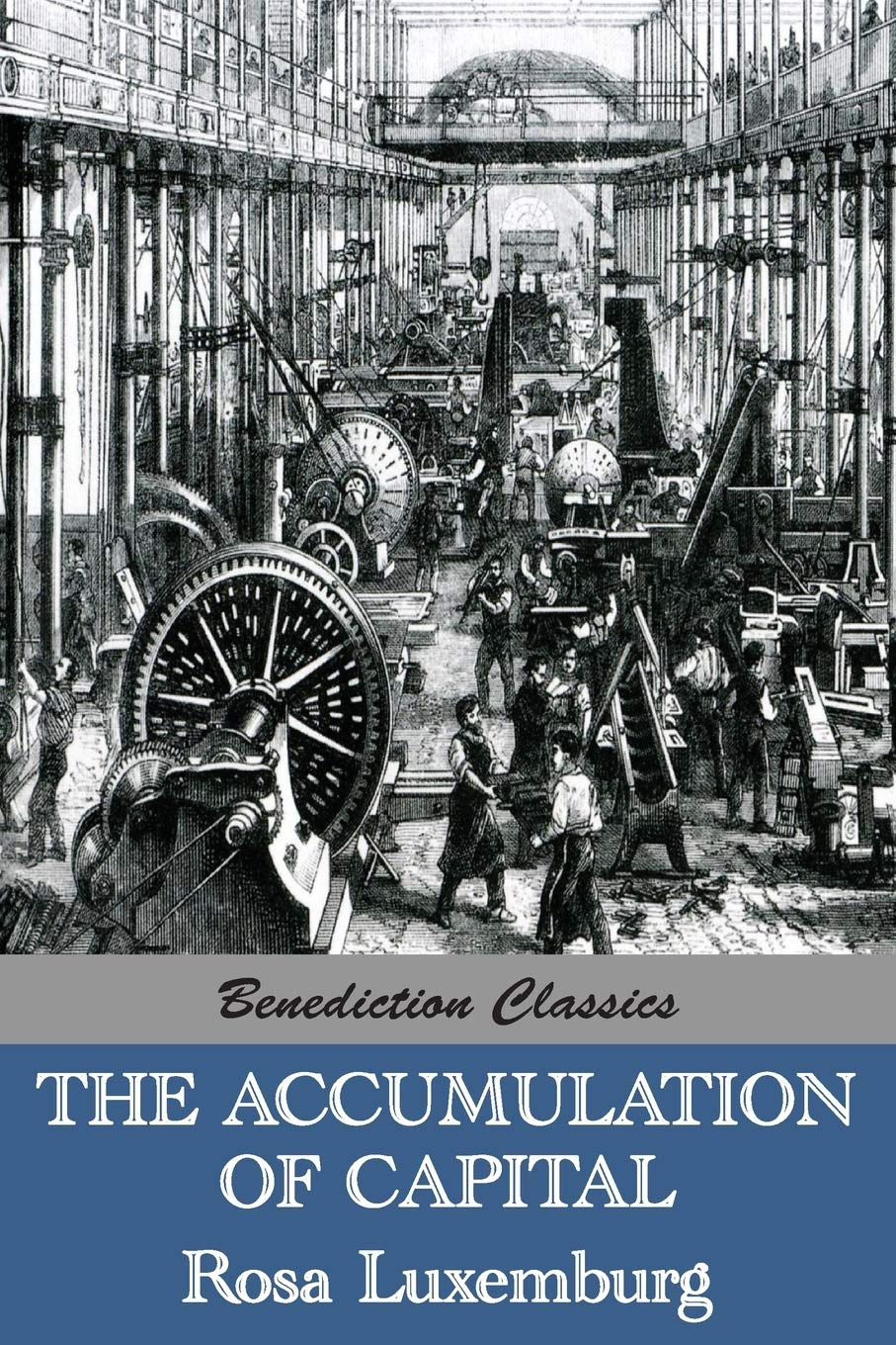 The Accumulation of Capital,Used