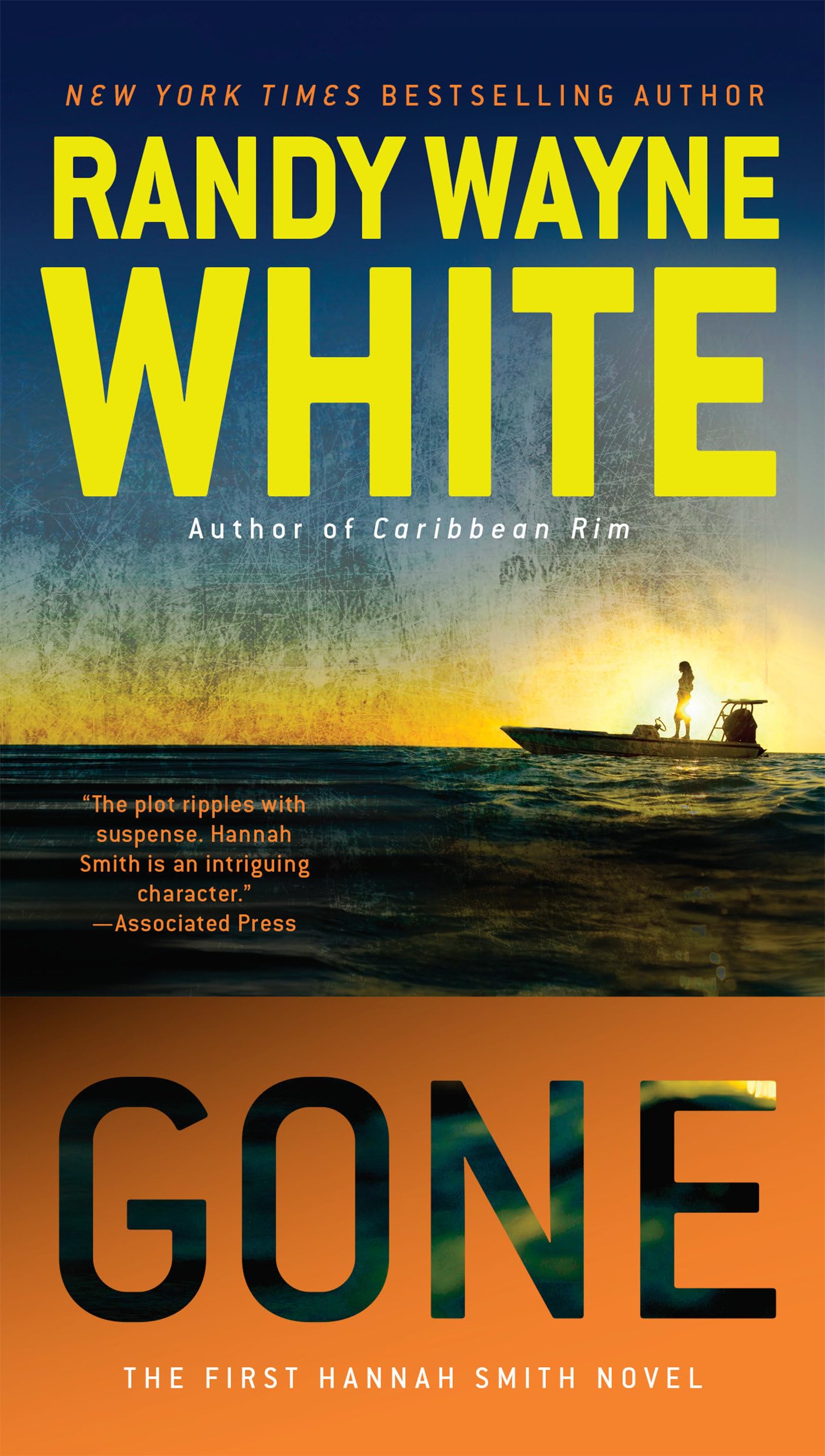 Gone (A Hannah Smith Novel),Used