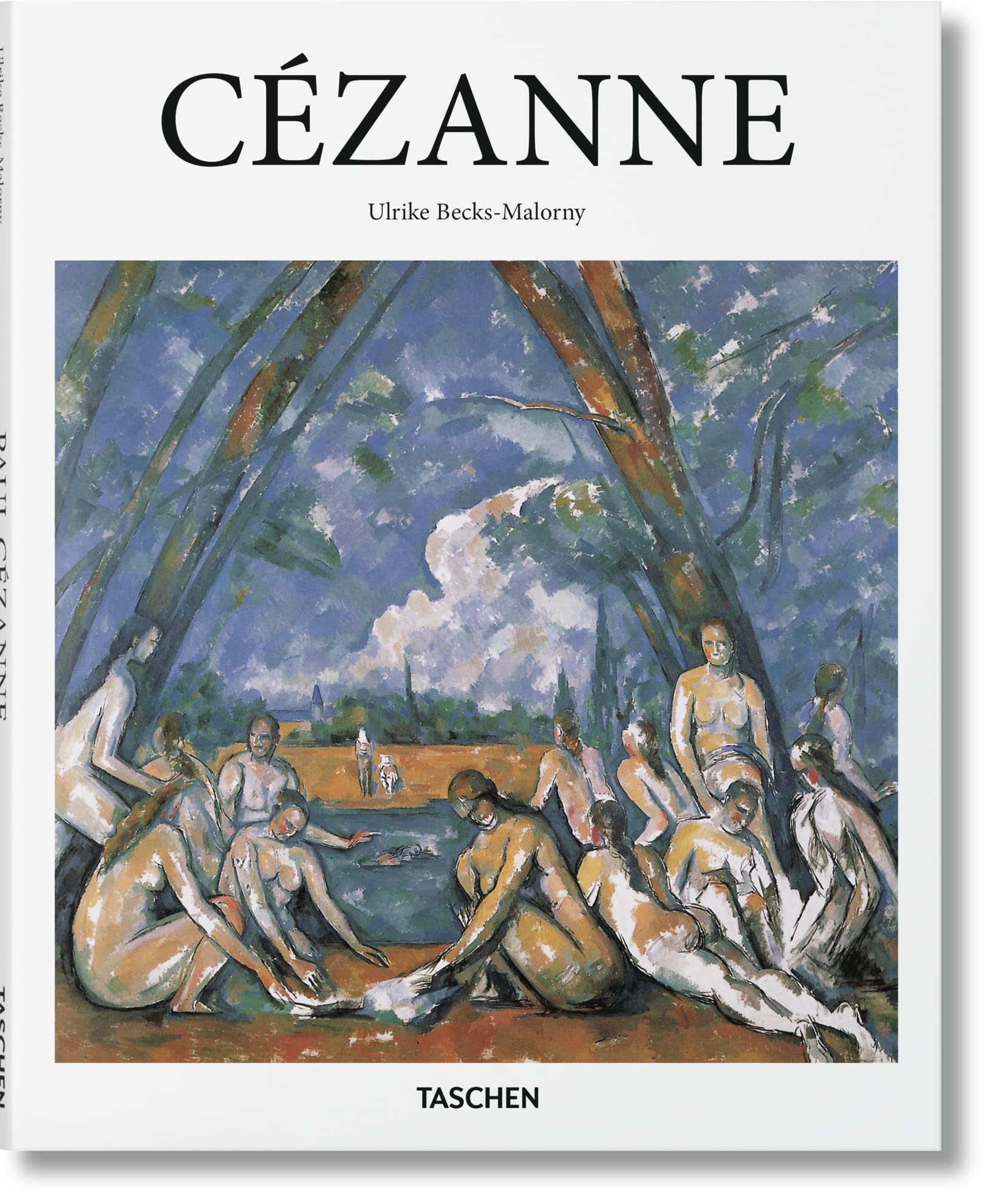 Paul Czanne: 18391906: Pioneer of Modernism,Used