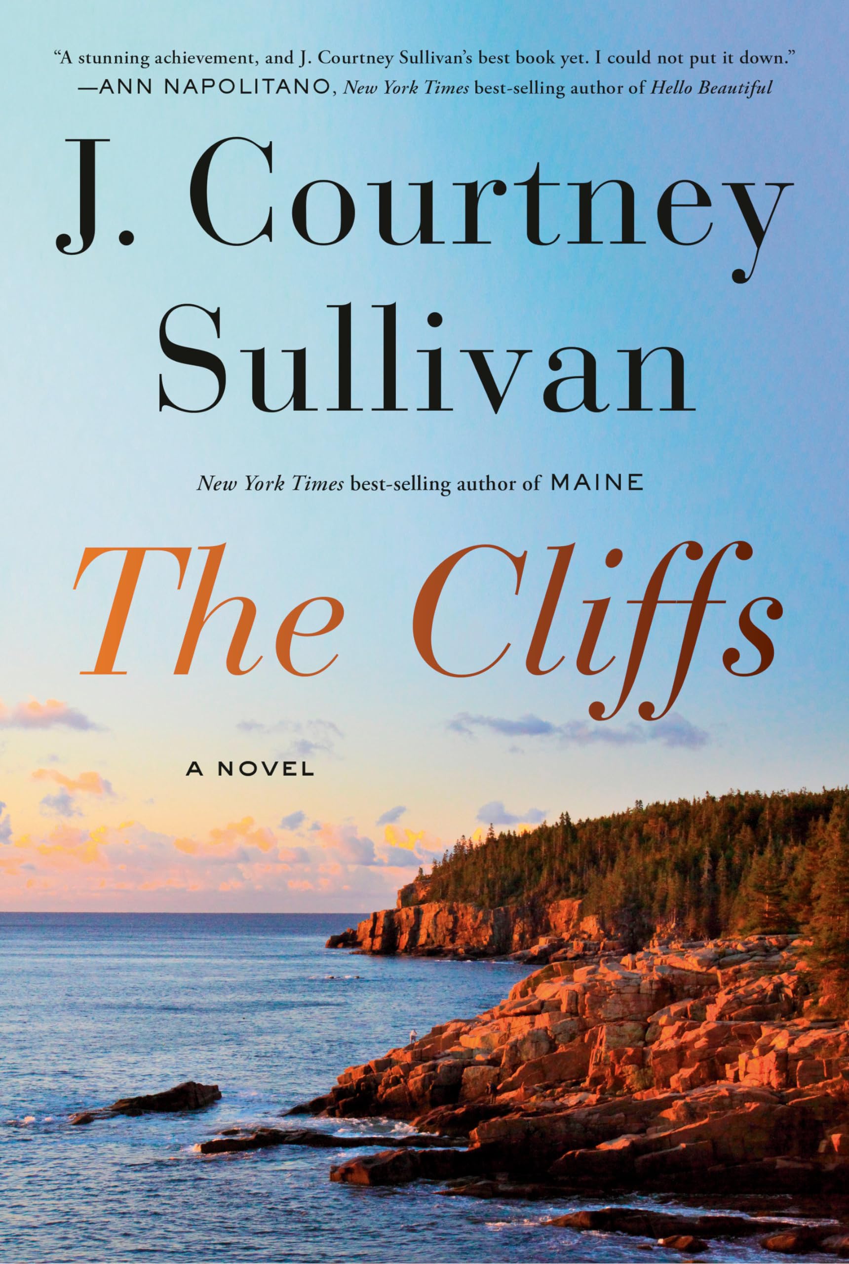 The Cliffs: A Novel,Used