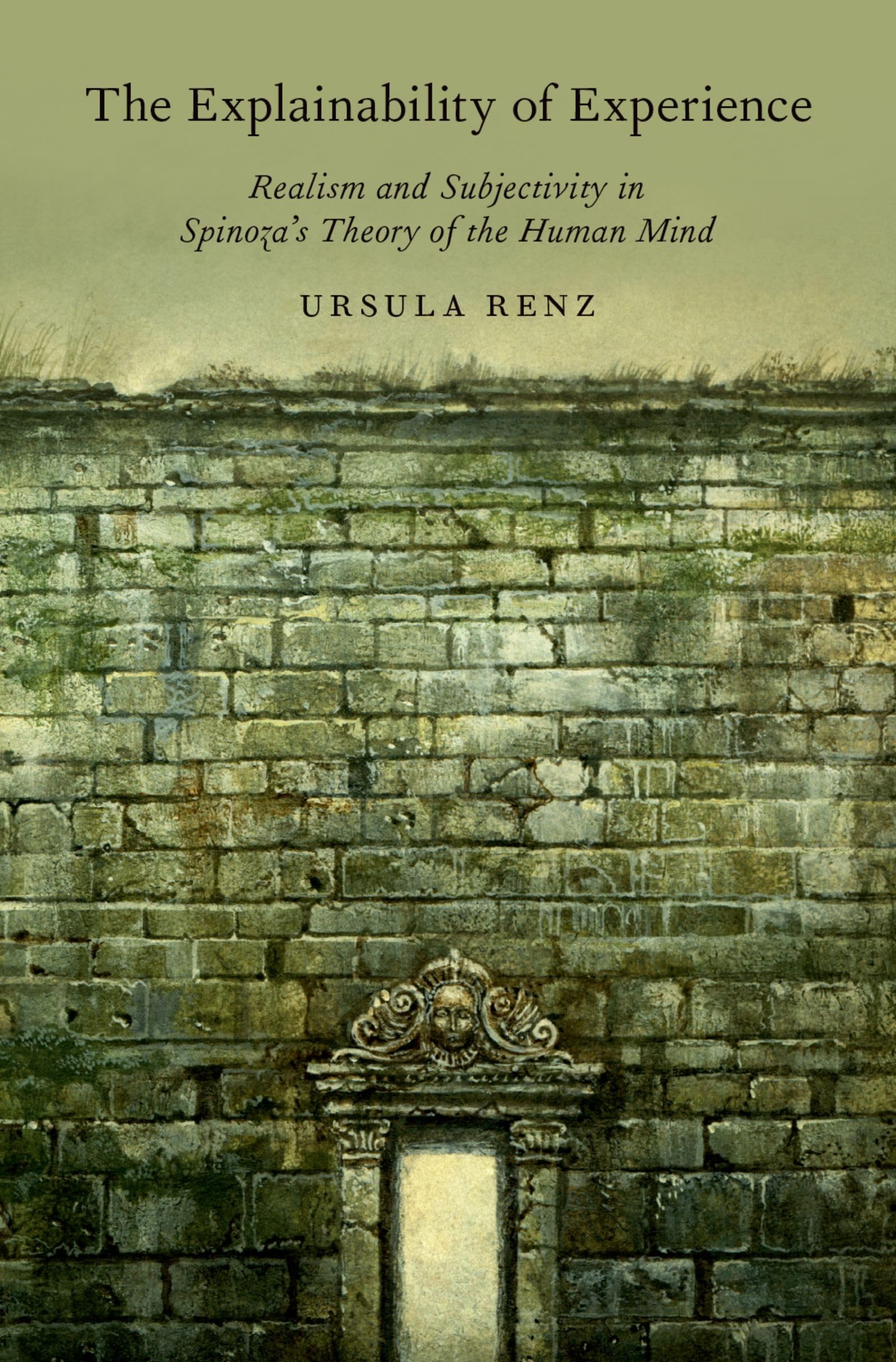 The Explainability of Experience: Realism and Subjectivity in Spinoza's Theory of the Human Mind,New