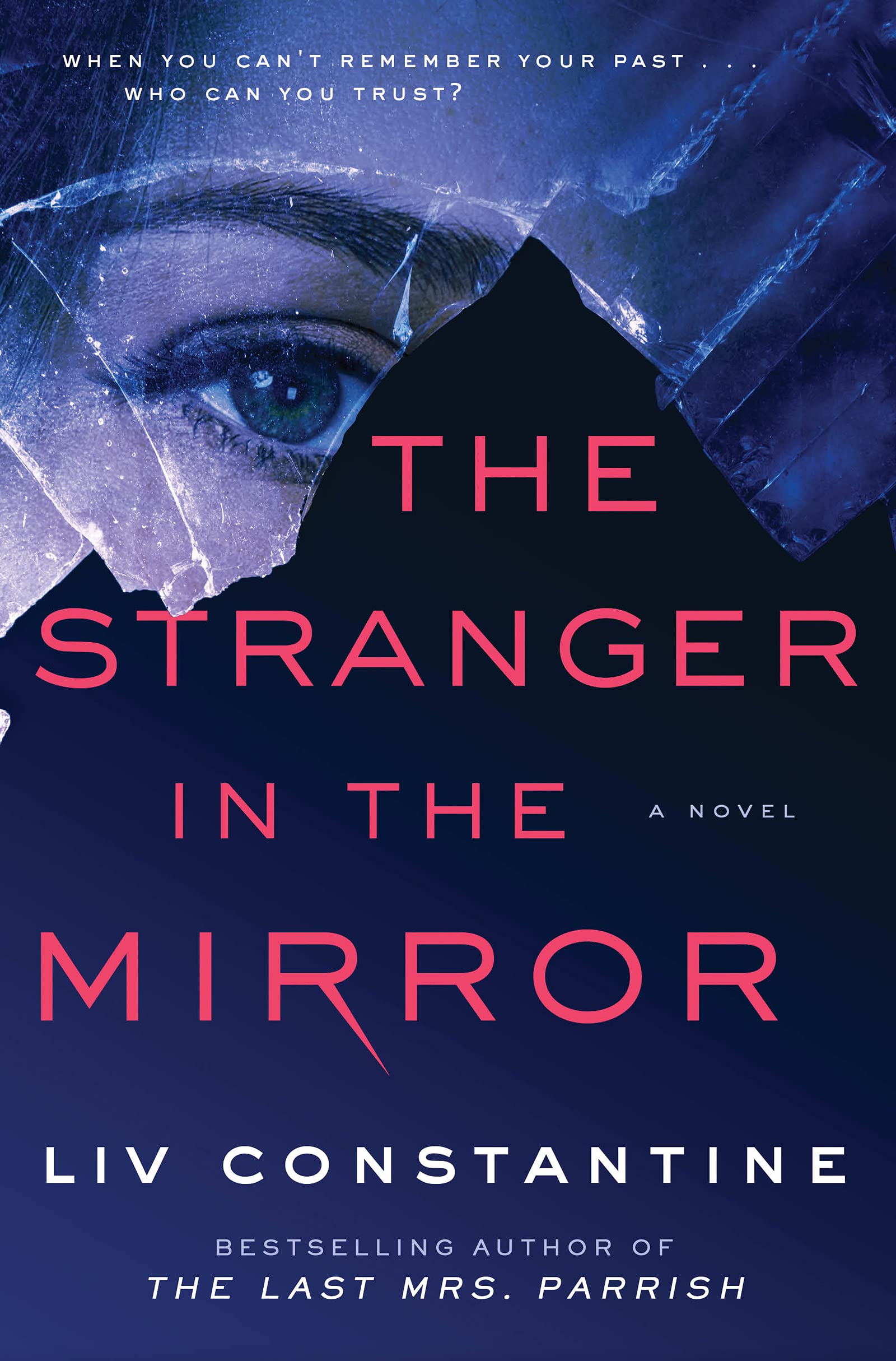 The Stranger in the Mirror: A Novel,Used