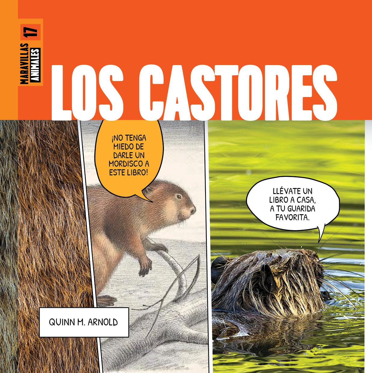 LOS CASTORES