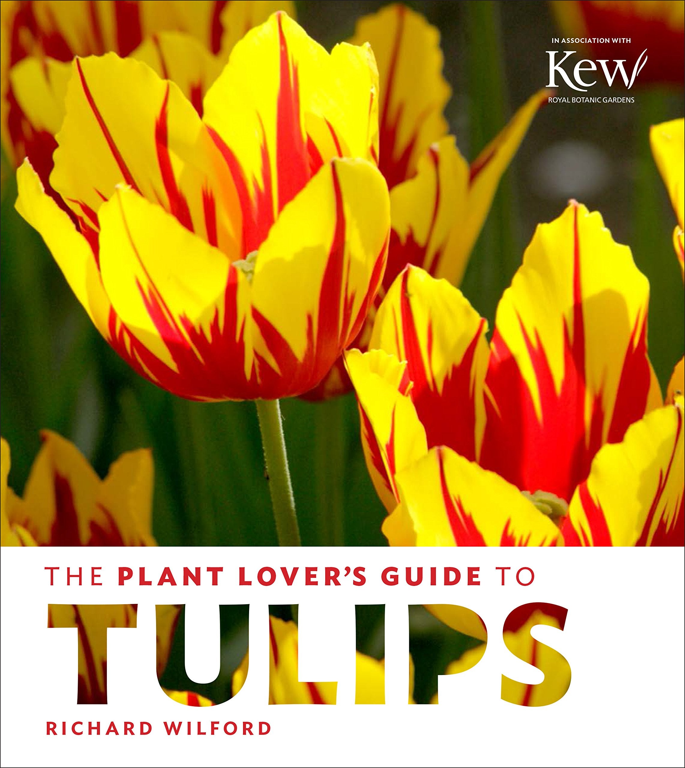 The Plant Lover'S Guide To Tulips (The Plant Lovers Guides)