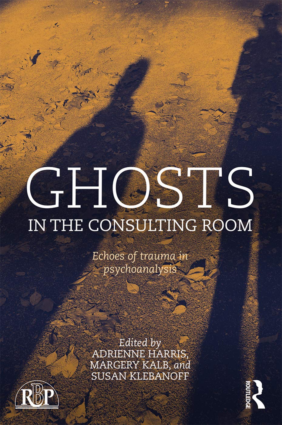 Ghosts in the Consulting Room (Relational Perspectives Book Series),Used