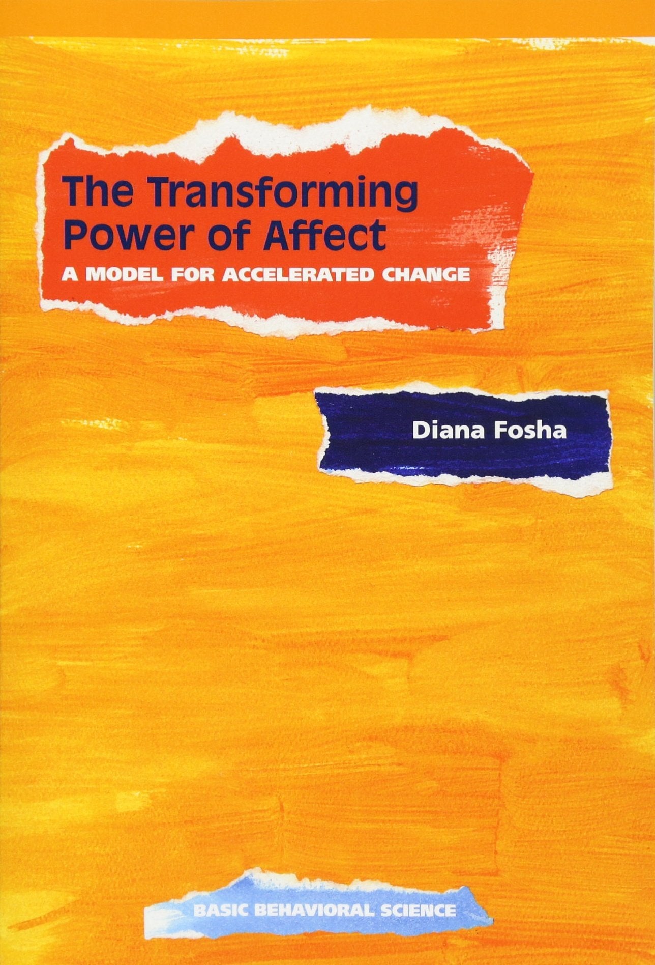 The Transforming Power Of Affect: A Model For Accelerated Change,Used