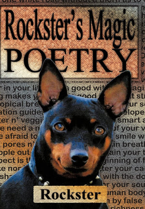 Rockster's Magic Poetry,Used