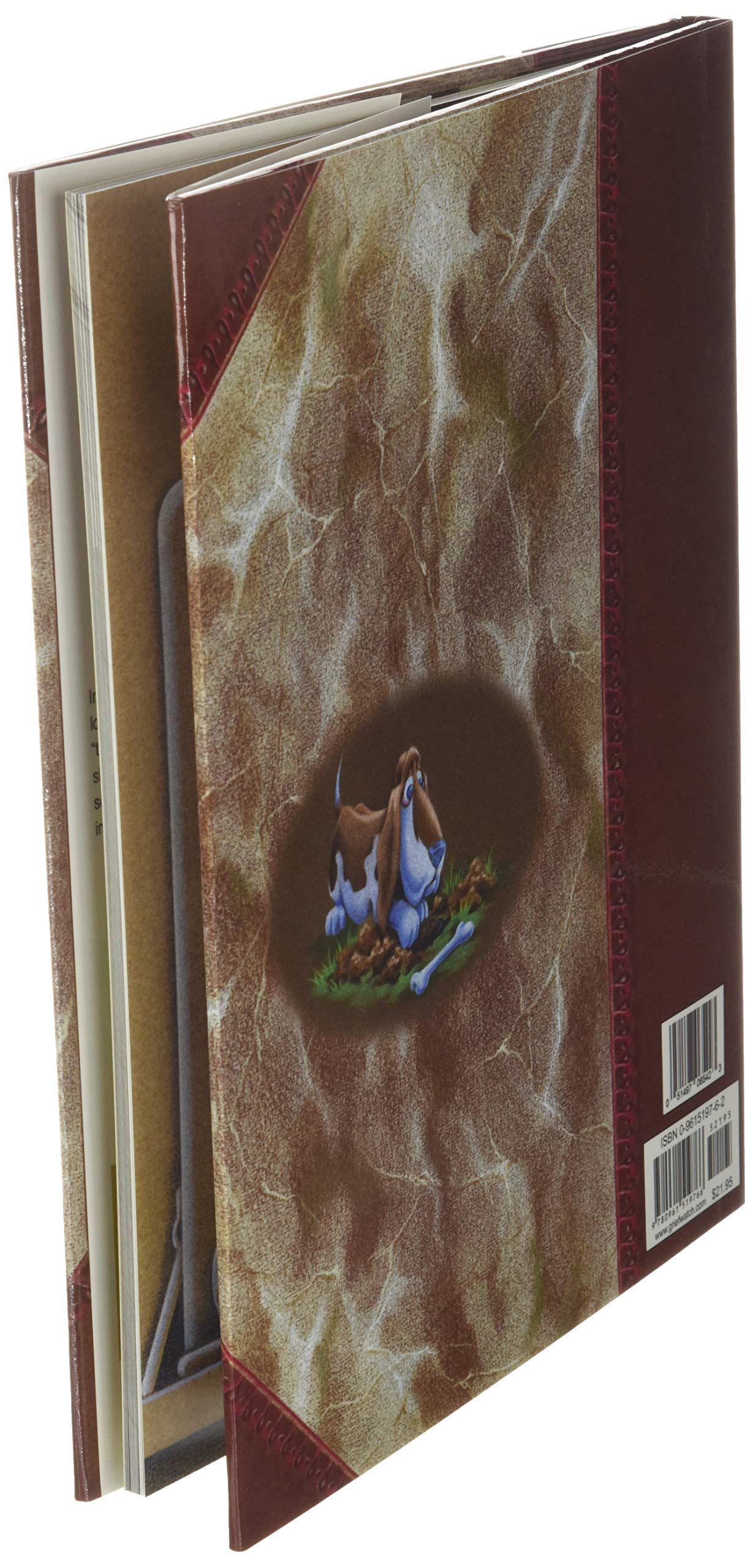 Tear Soup: A Recipe for Healing After Loss,Used