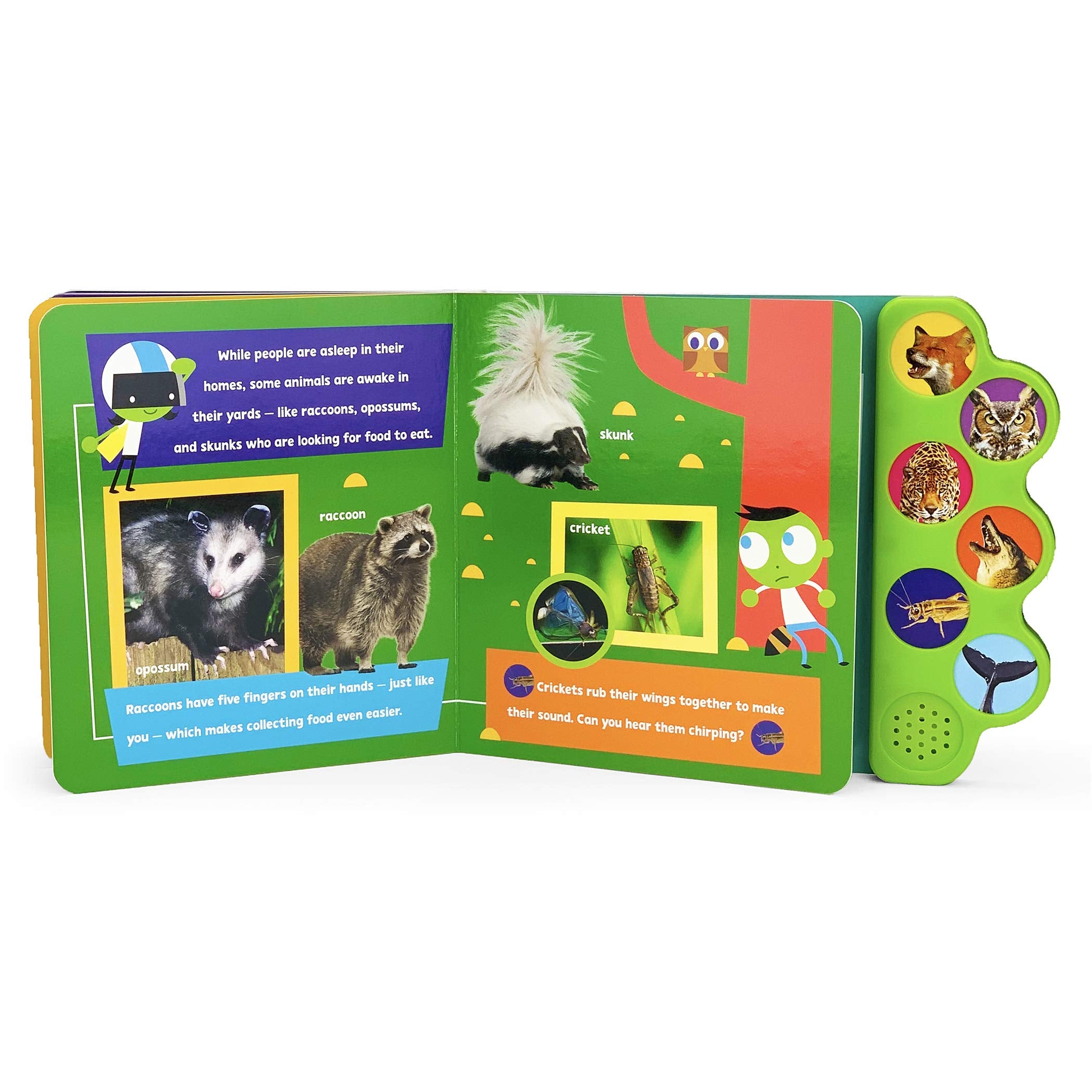 Animals at Night (PBS Kids)