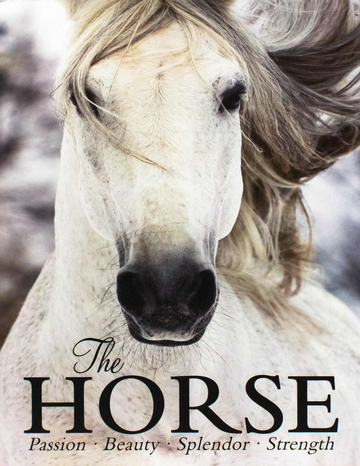 The Horse: Passion, Beauty, Splendor, Strength,Used