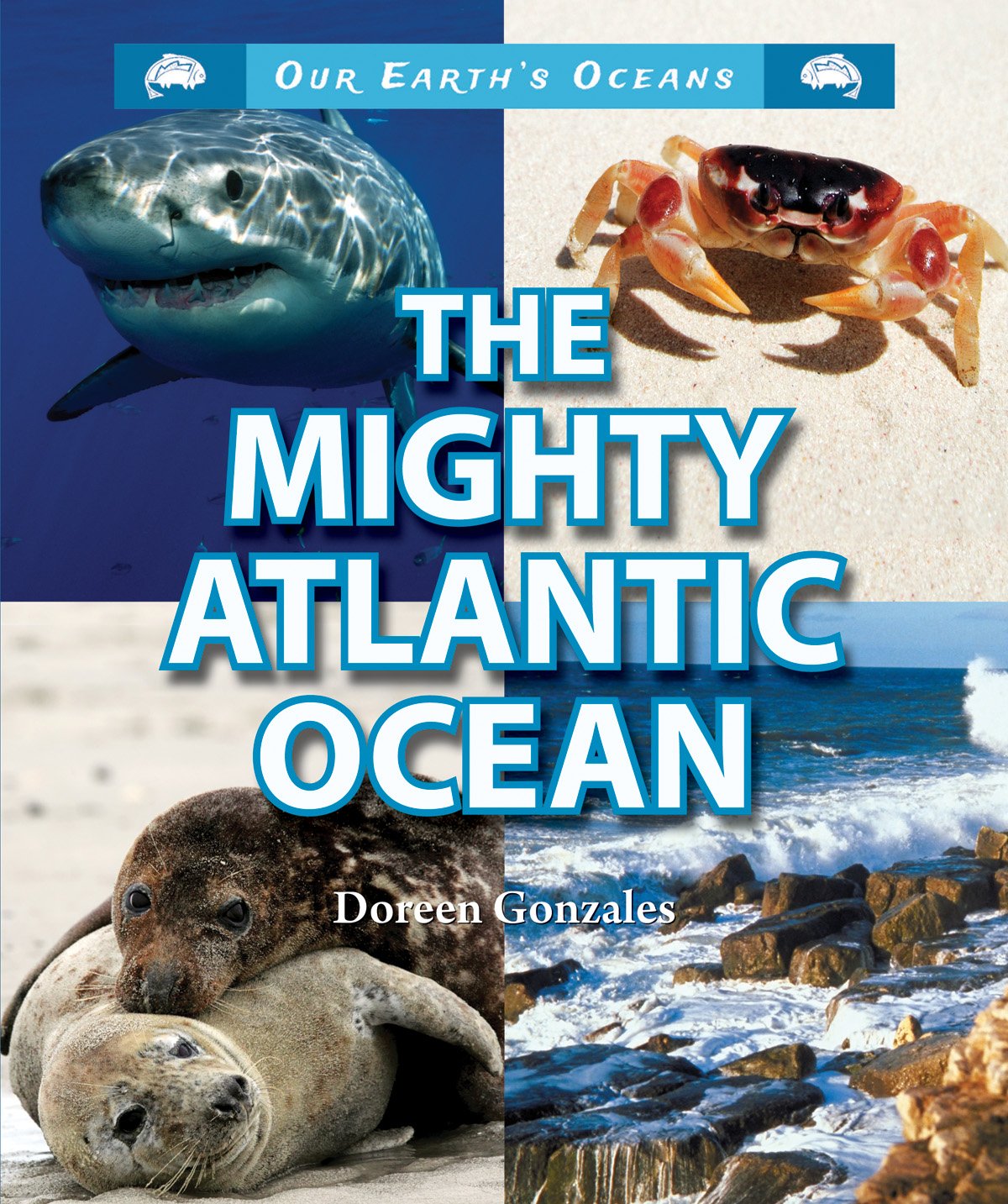 The Mighty Atlantic Ocean (Our Earth's Oceans),Used