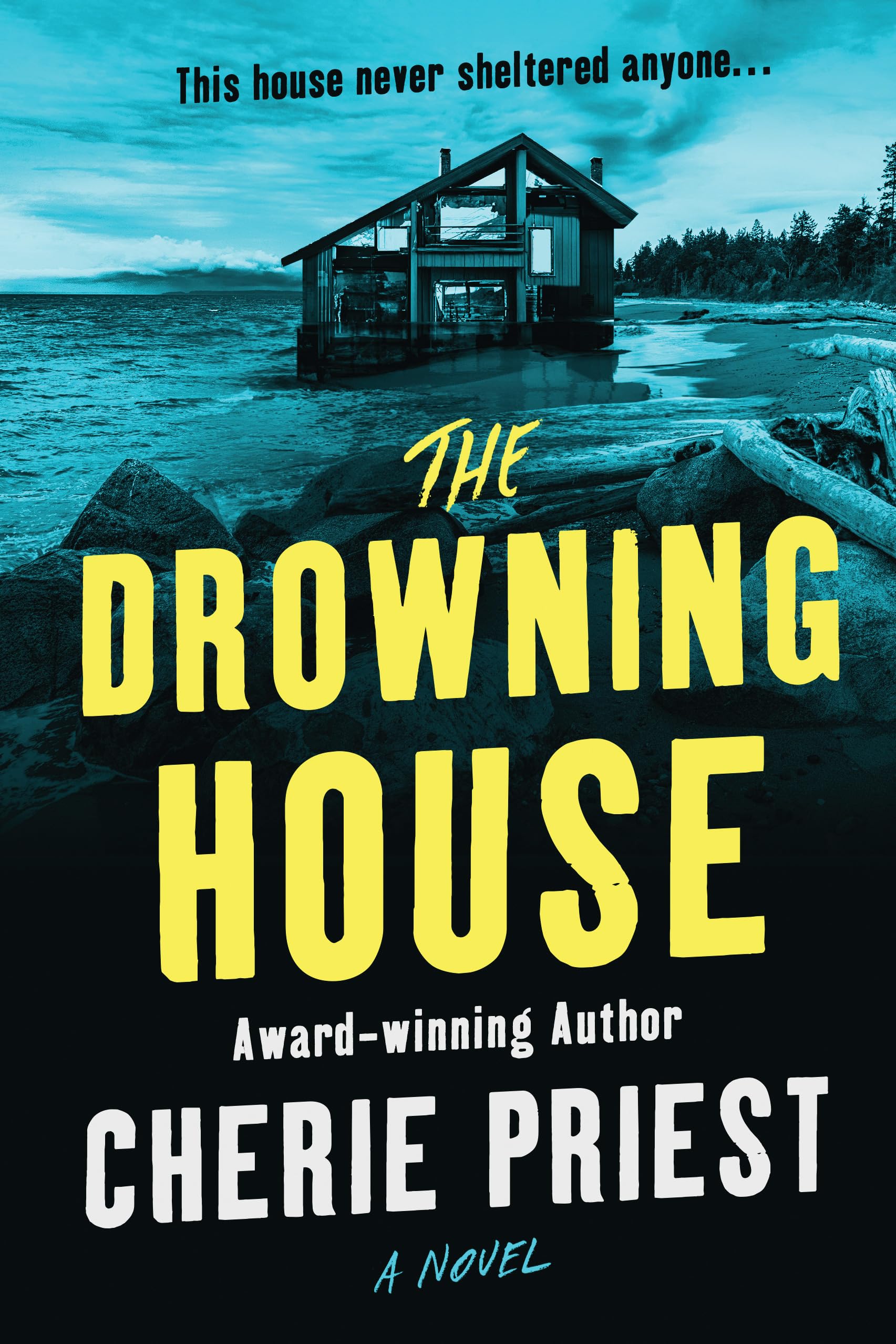 The Drowning House,Used