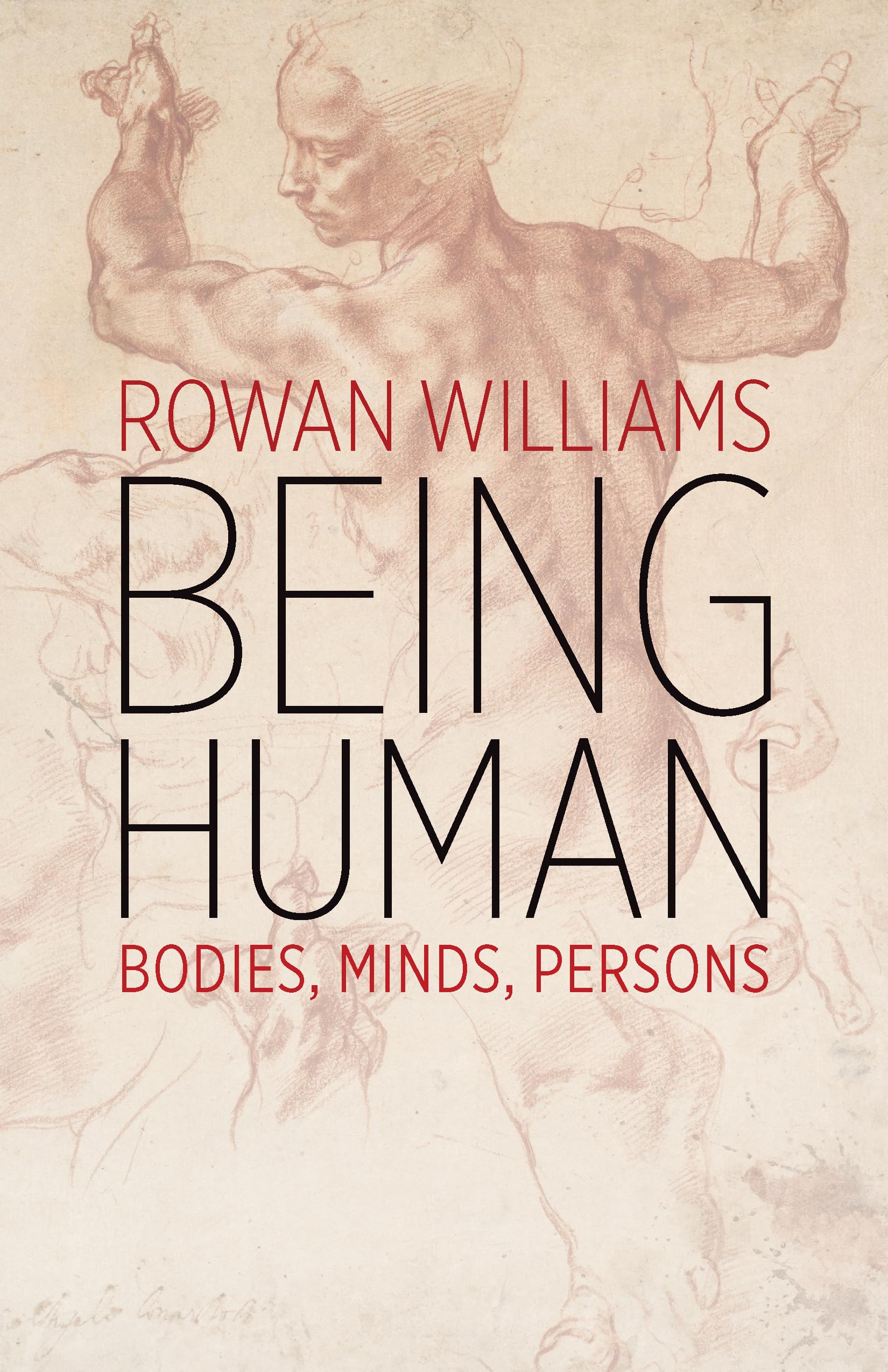 Being Human: Bodies, Minds, Persons,Used