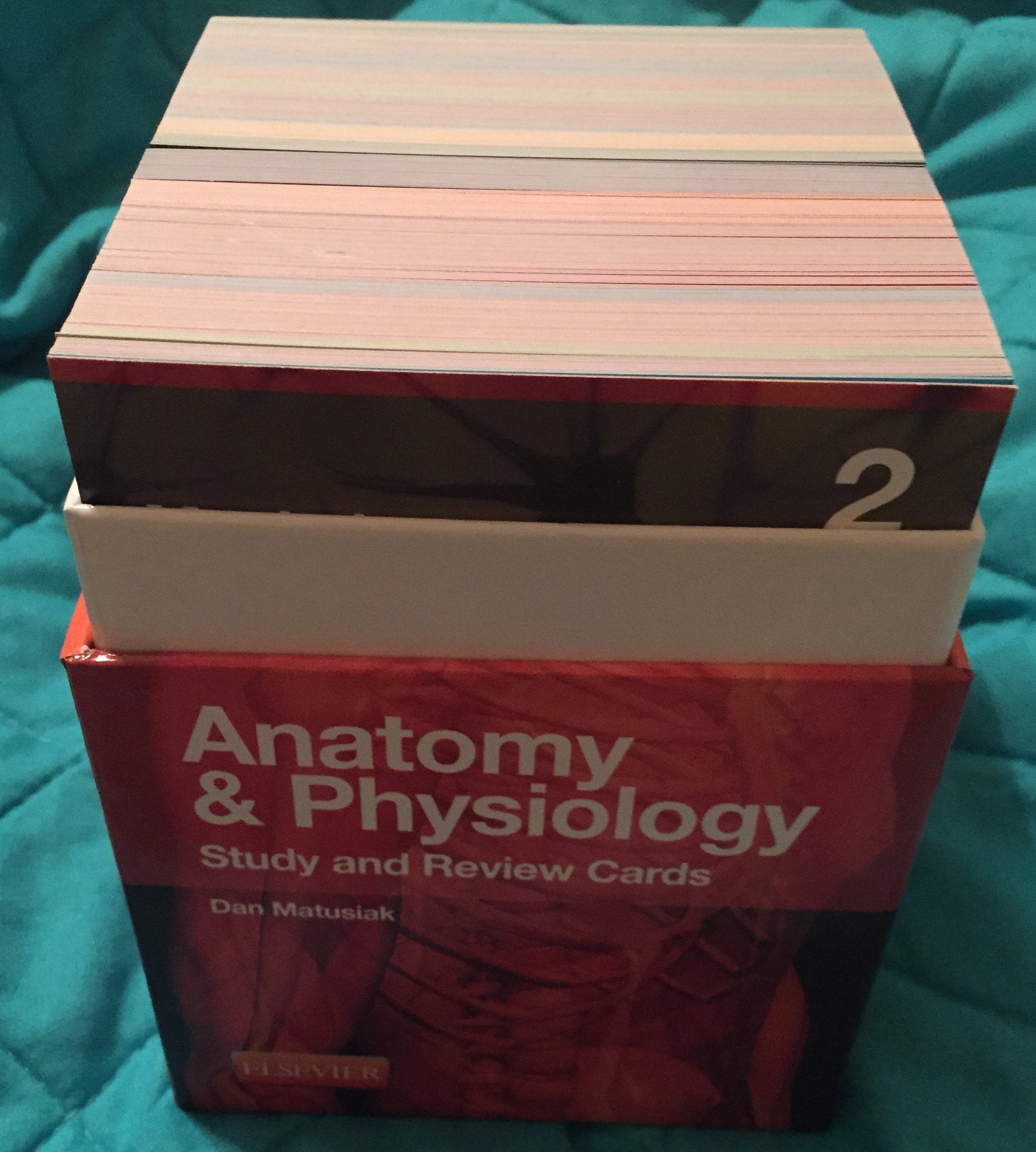 Mosby's Anatomy & Physiology Study and Review Cards,New