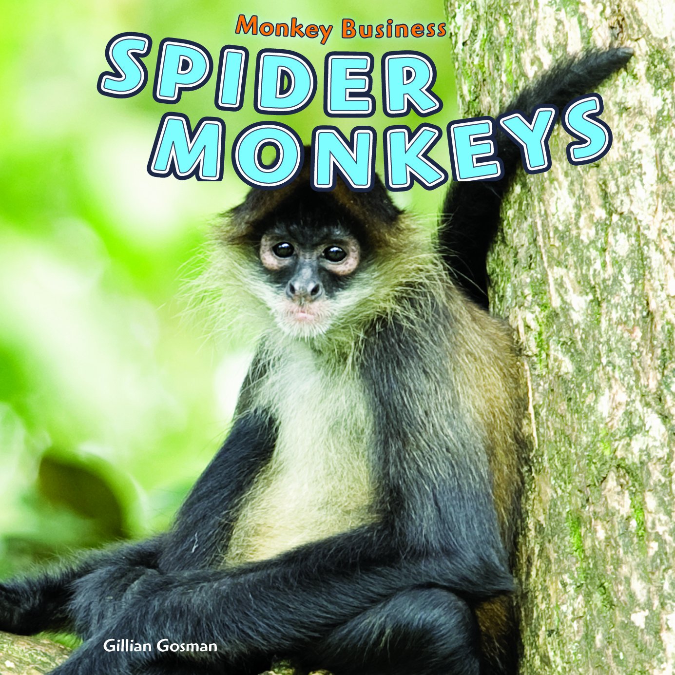 Spider Monkeys (Monkey Business),Used