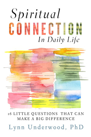 Spiritual Connection In Daily Life: Sixteen Little Questions That Can Make A Big Difference,Used