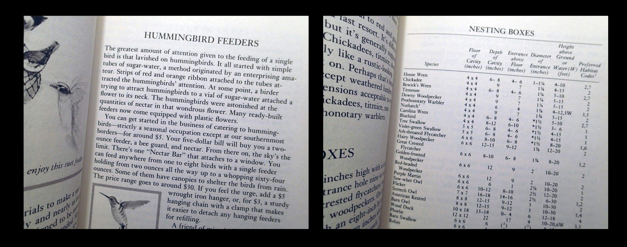 Feeding the Birds,Used