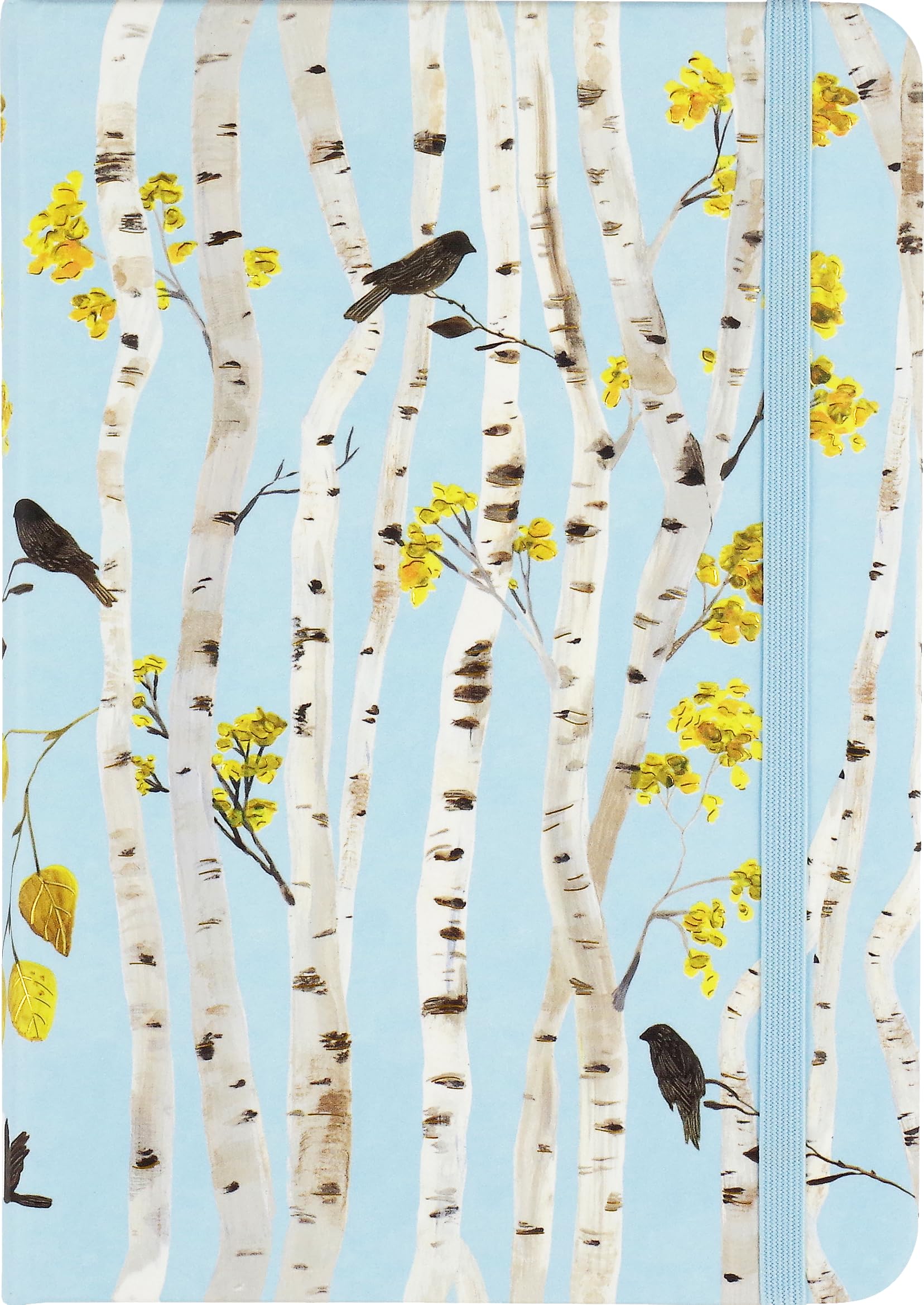 Birch Woods Journal (Diary, Notebook),Used