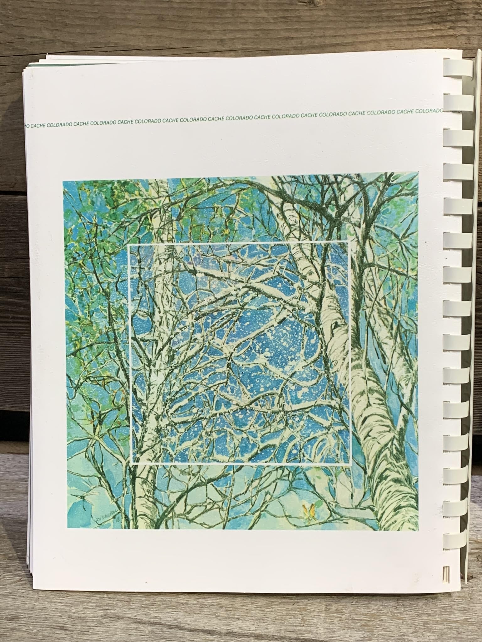 Colorado Cache Cookbook: A Goldmine Of Recipes,New