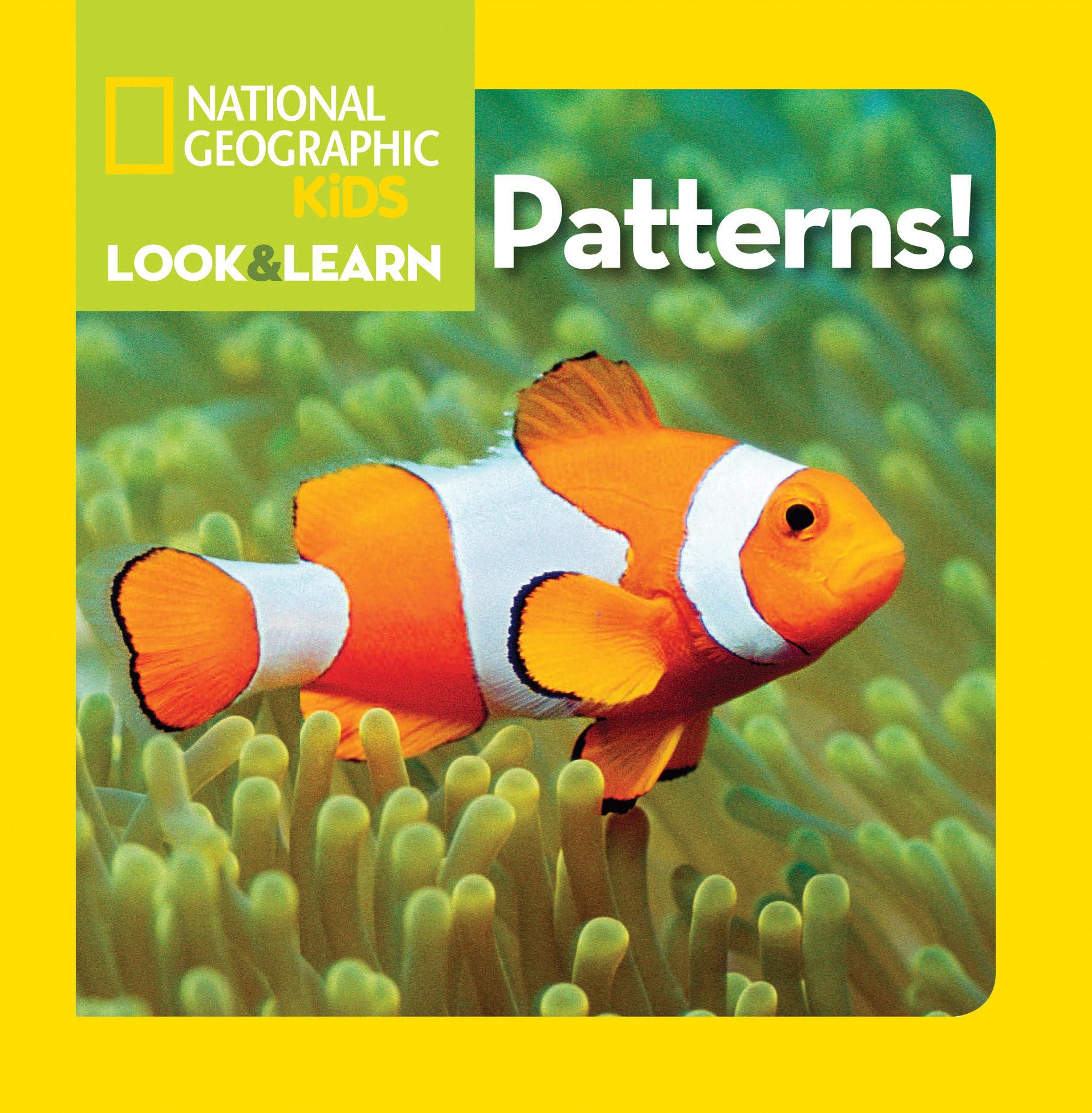 National Geographic Kids Look and Learn: Patterns! (Look & Learn),Used